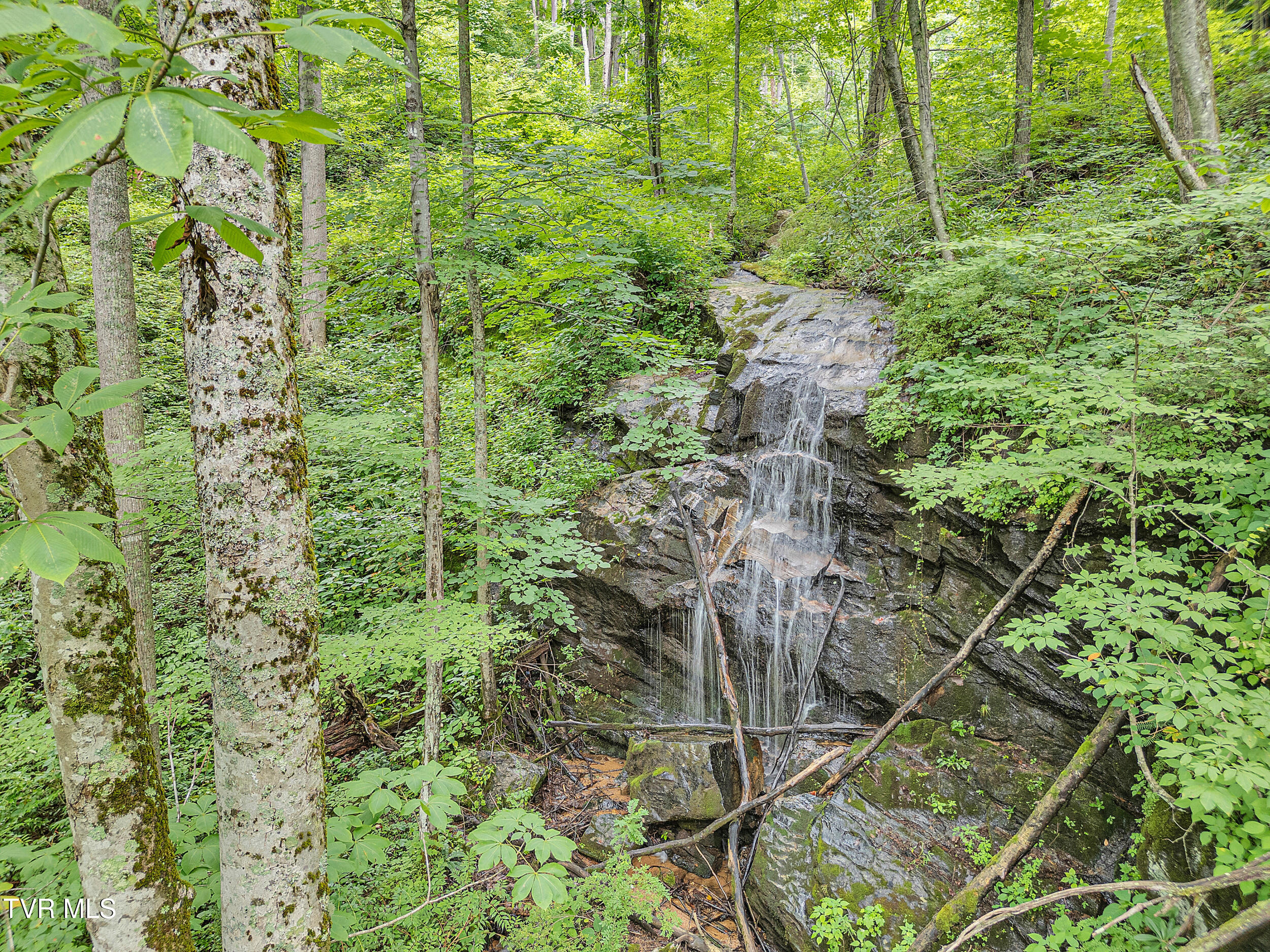 292 Old Railroad Grade Road