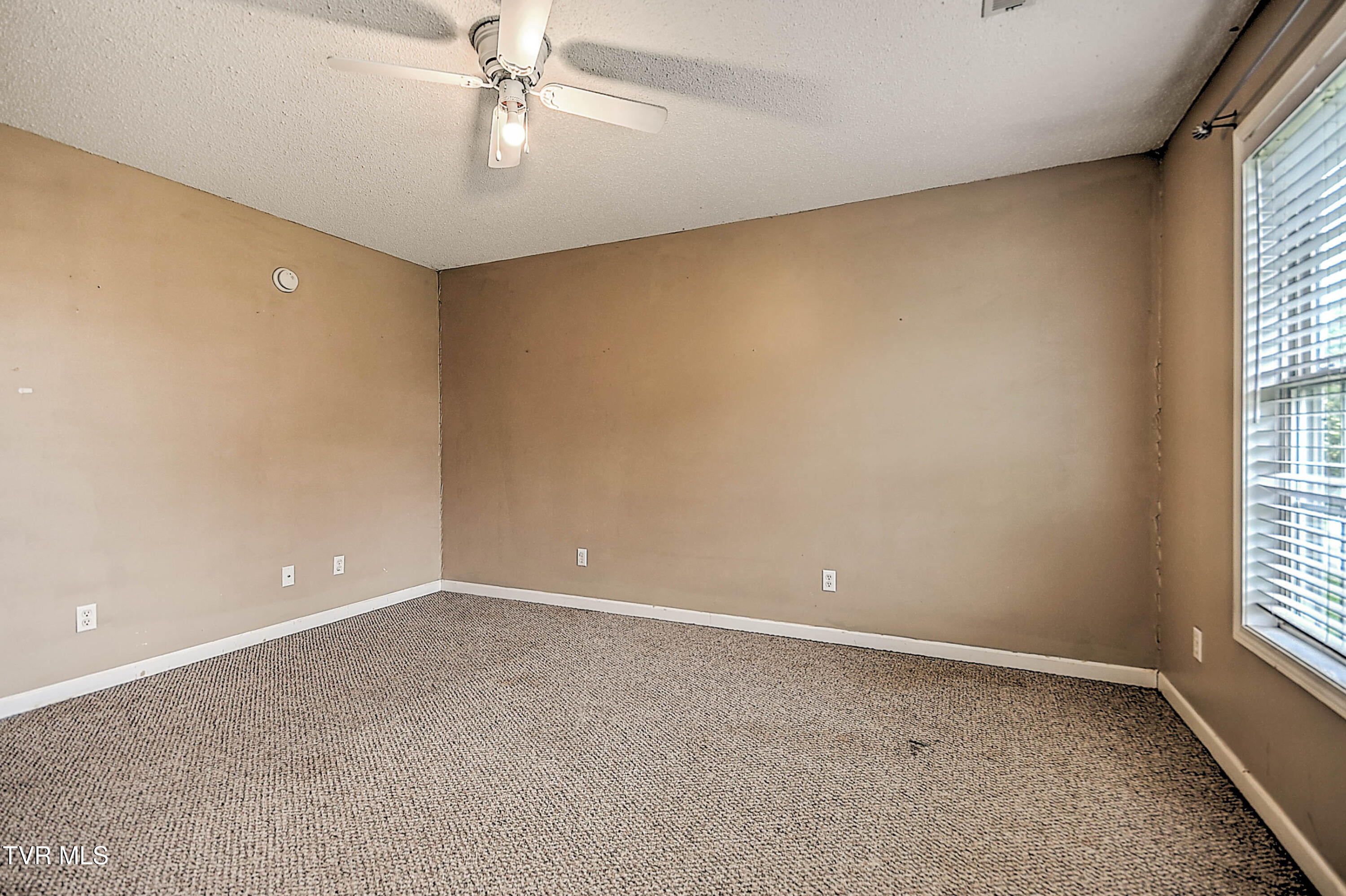 44 Tulip Grove Circle, 3