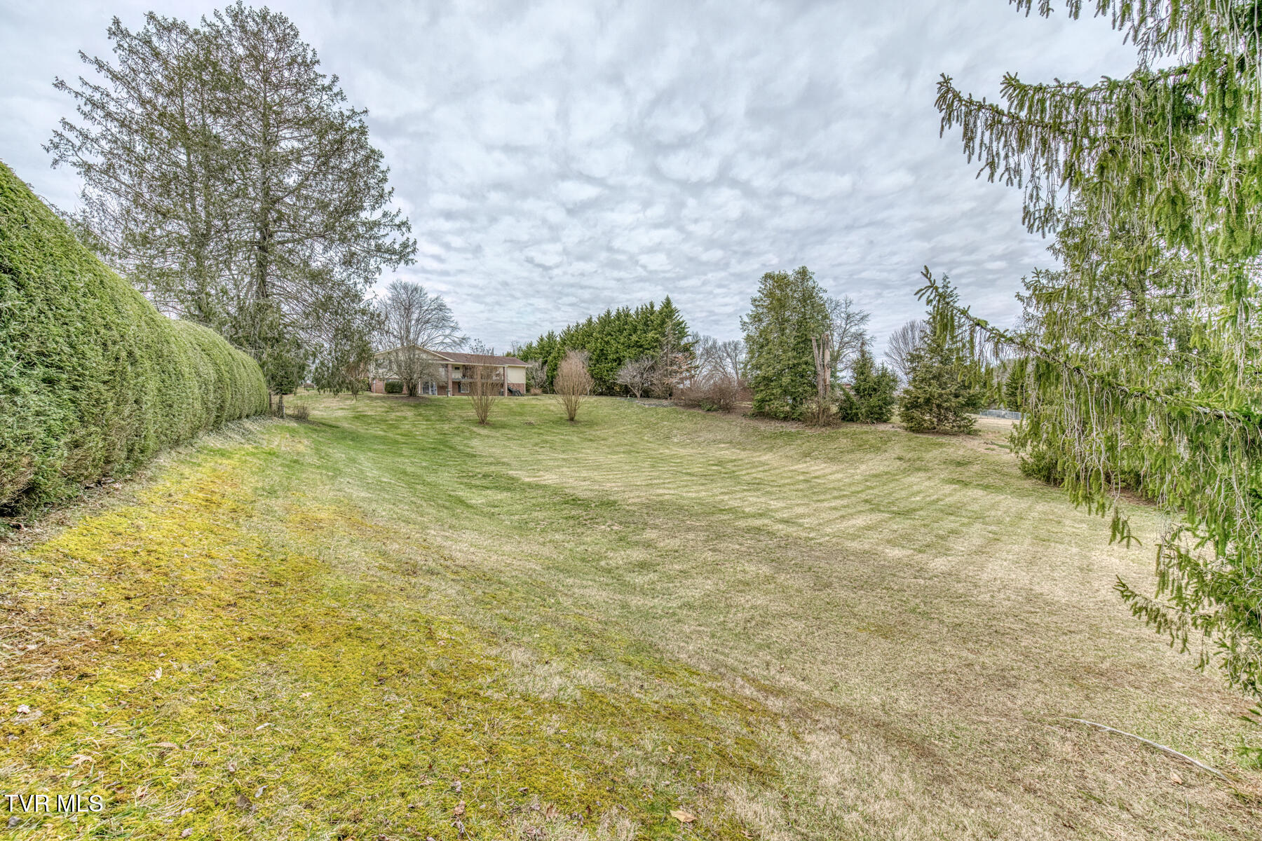 305 Overbrook Drive