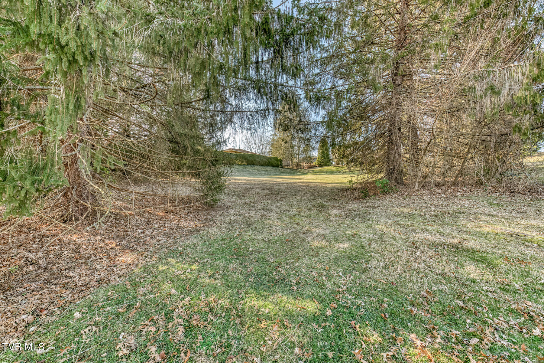 305 Overbrook Drive