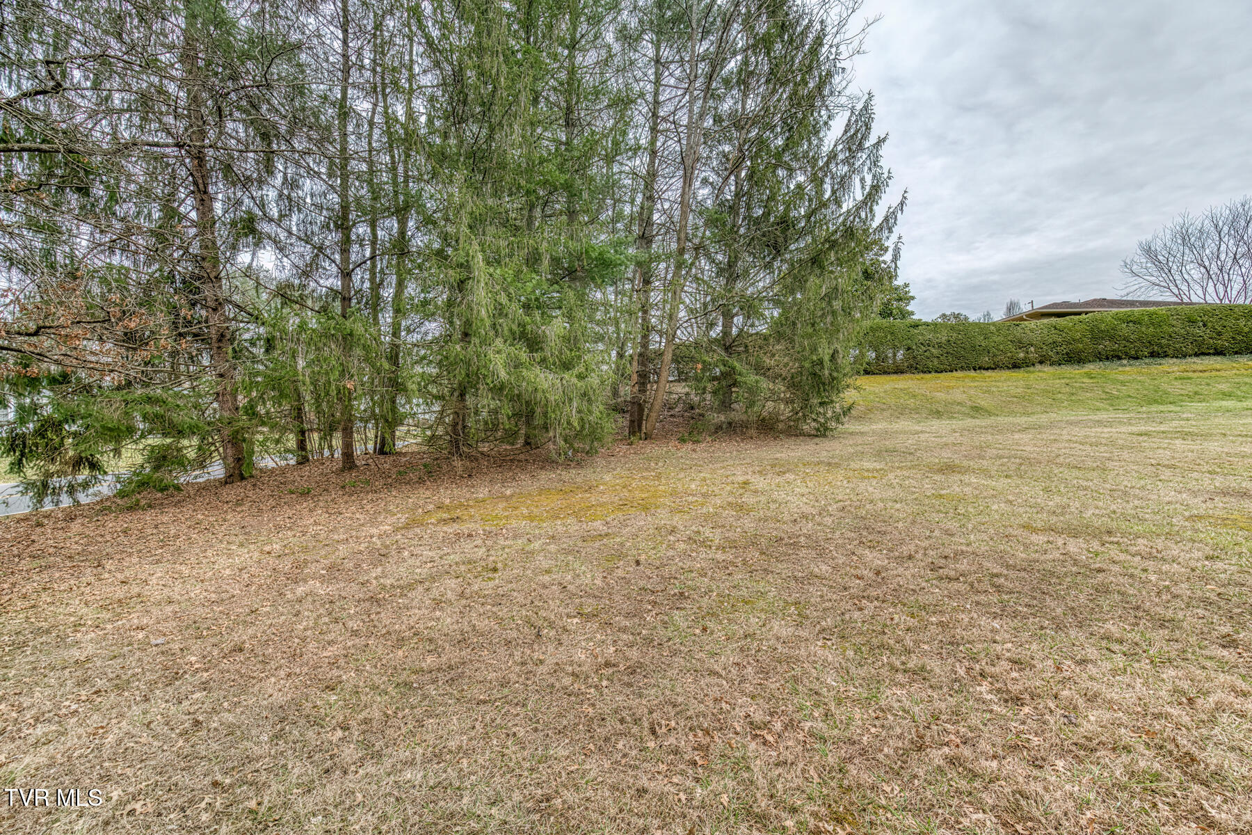 305 Overbrook Drive