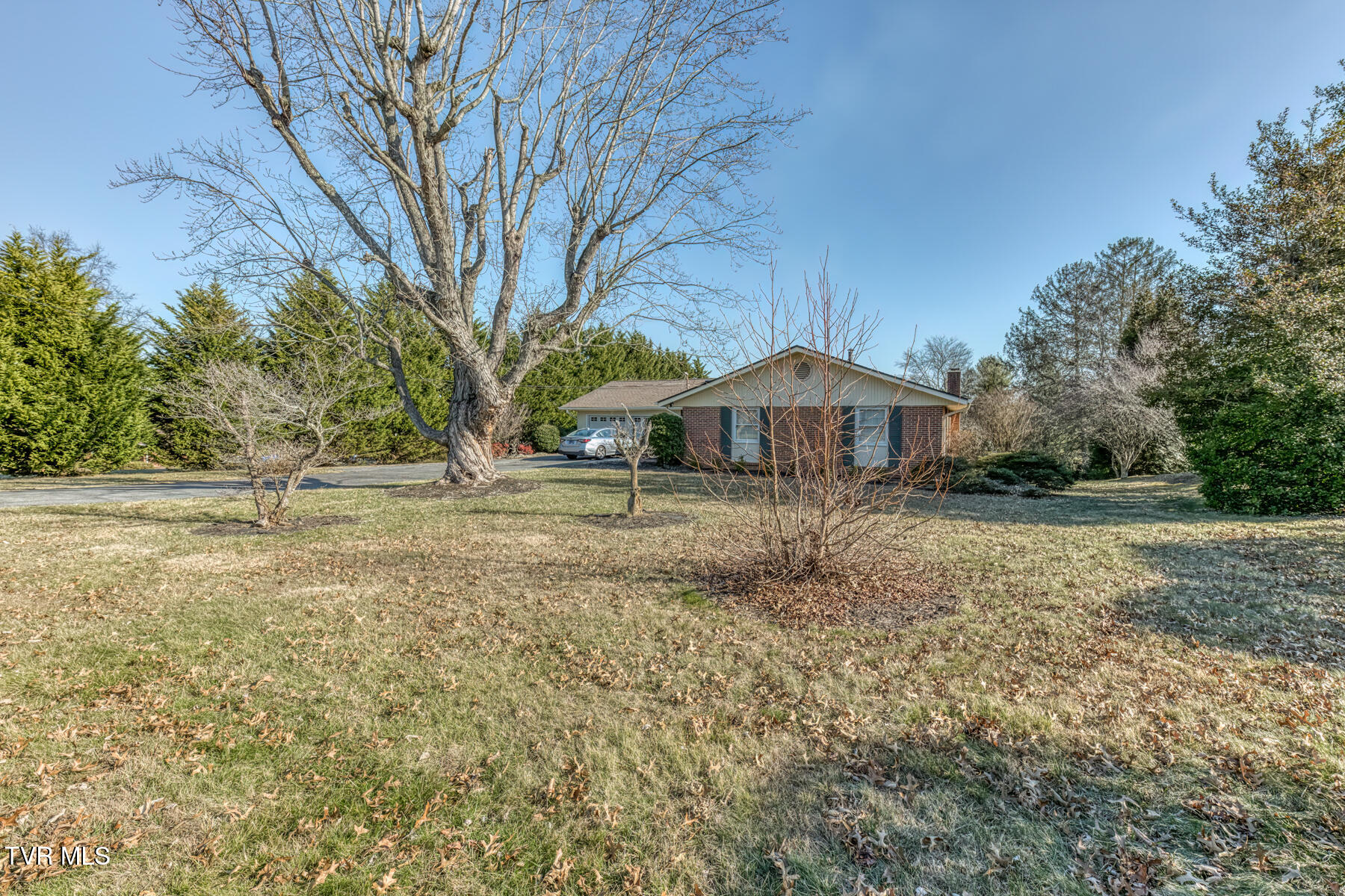 305 Overbrook Drive