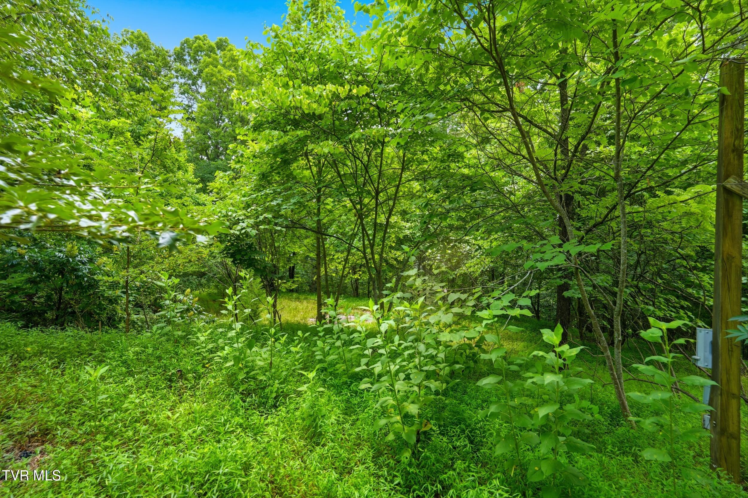 484 Carousel Pvt Drive