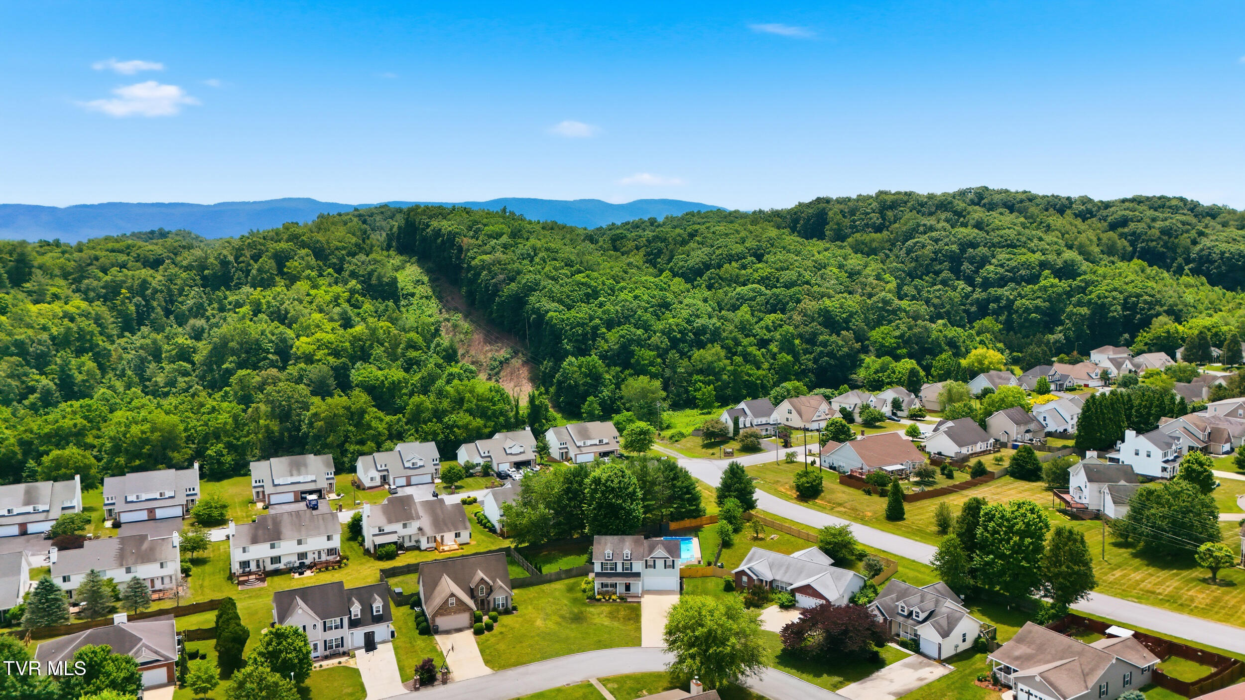 229 Jaybird Court