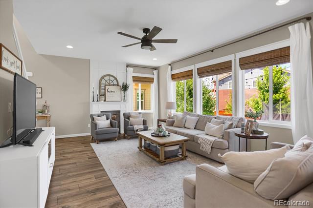 14572 Domino Street