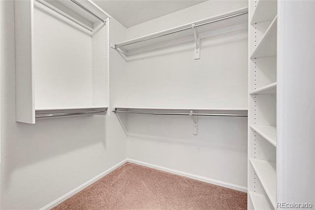 10441 Beech