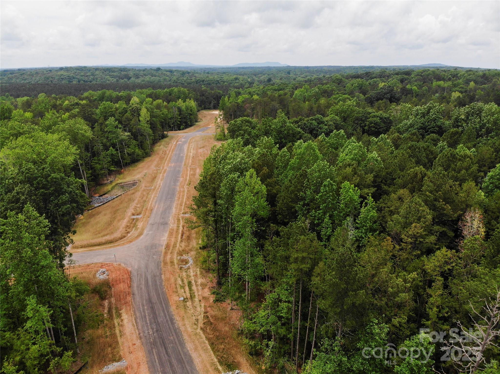 Lot 11 American Bittern Path