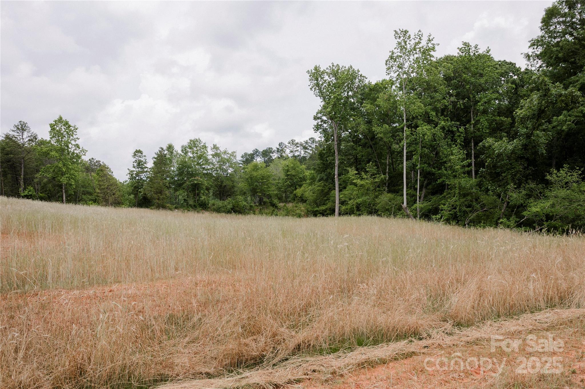 Lot 35 Snow Goose Walk Court