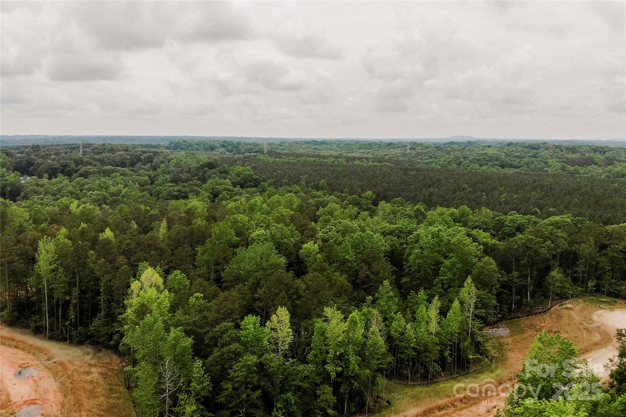 Lot 36 Snow Goose Walk Court