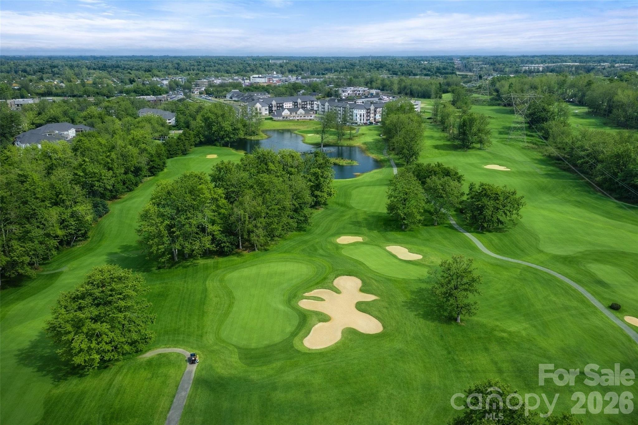 16146 Covington Point Lane