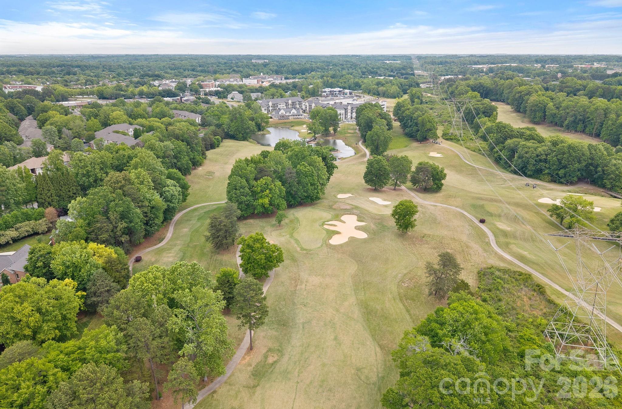 16110 Covington Point Lane