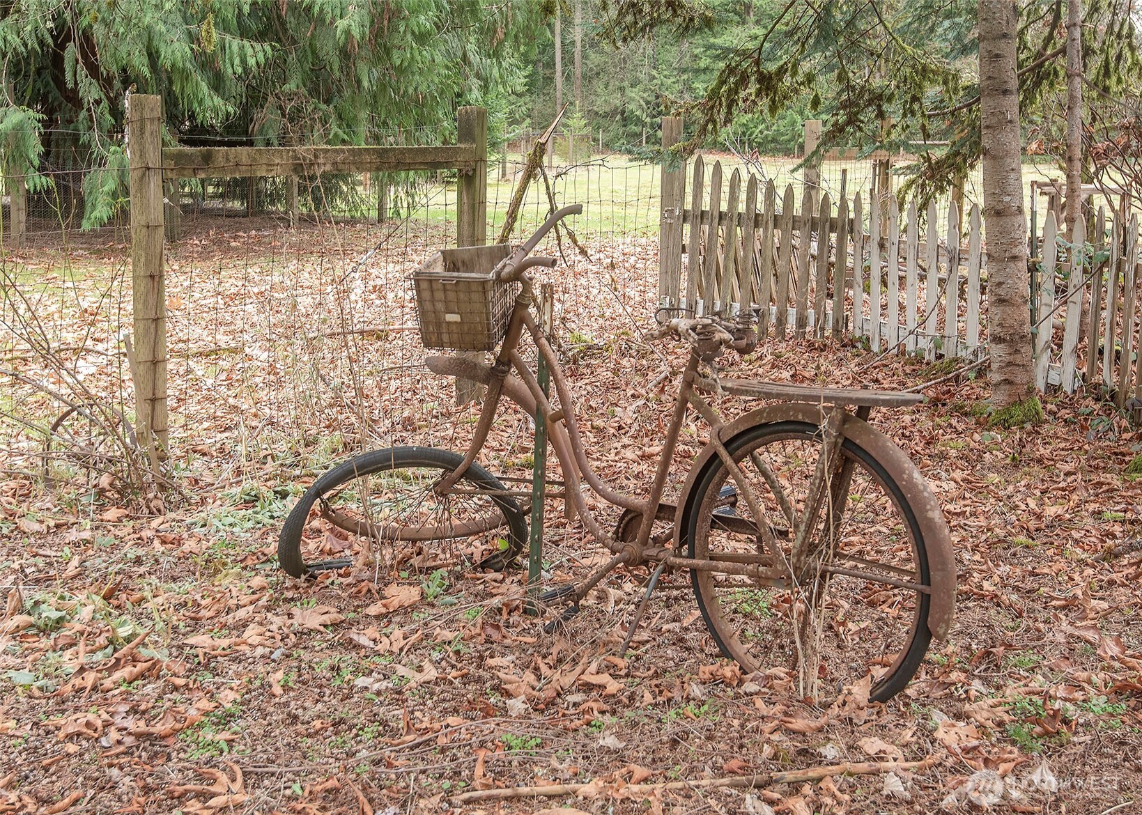 9218 169th Avenue NE