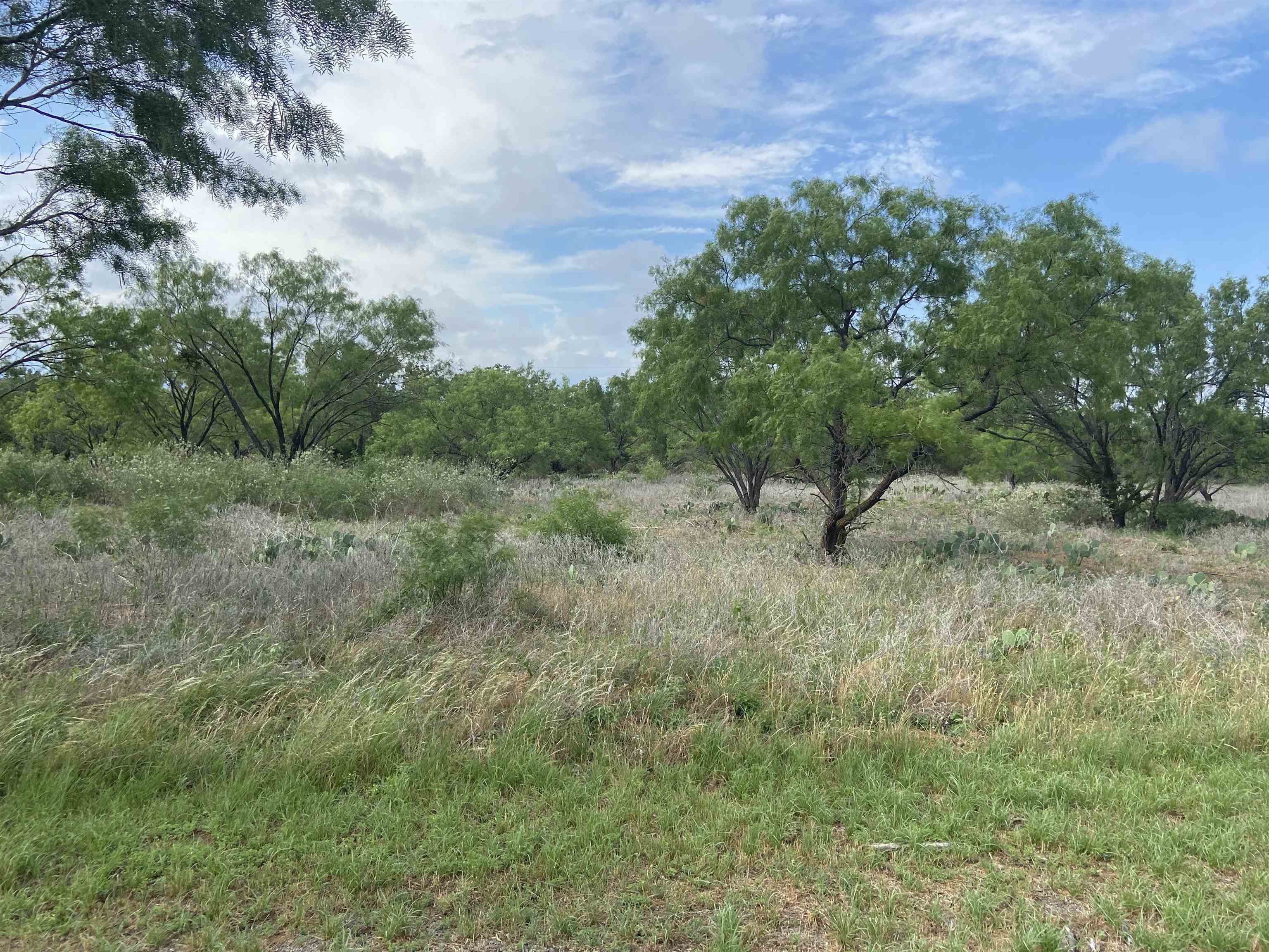 Lot 22 Lone Oak Drive