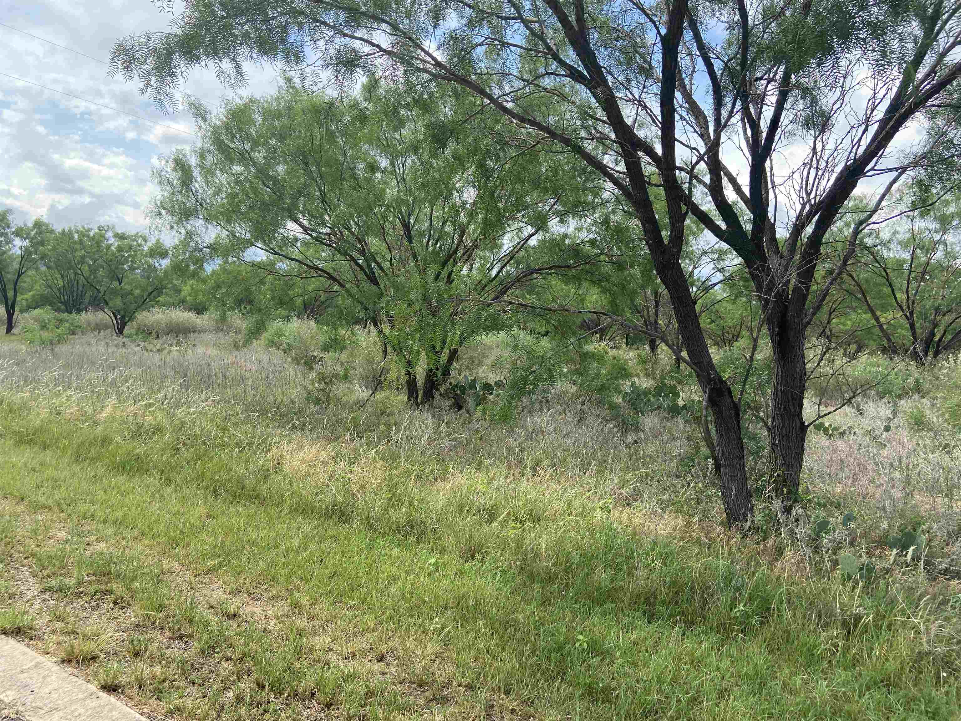 Lot 22 Lone Oak Drive