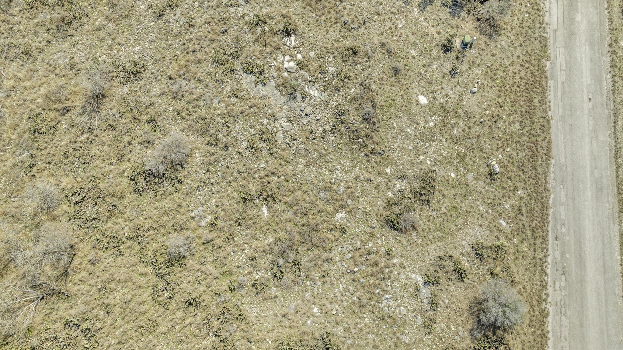 Cheyenne