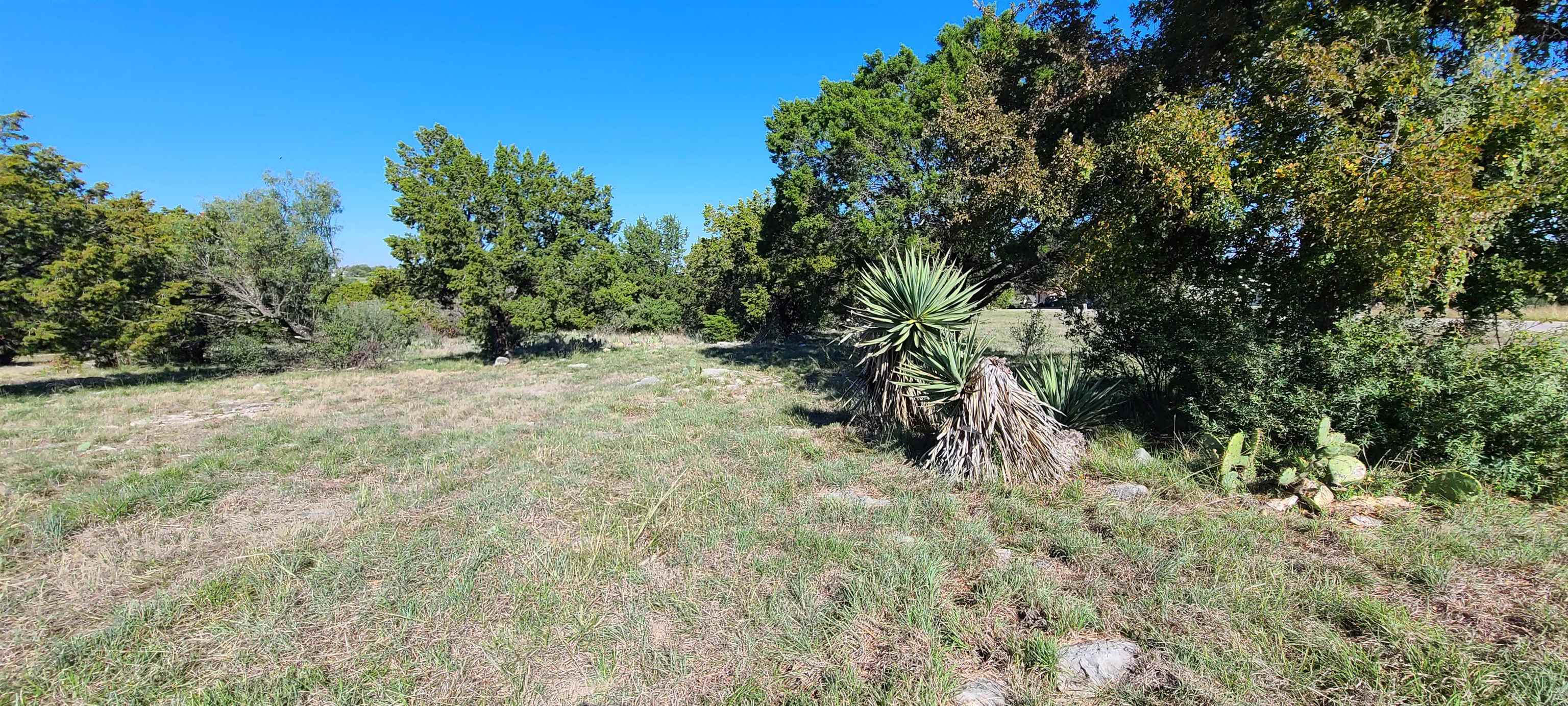 LT 22275 Longshot @ Westward Ho