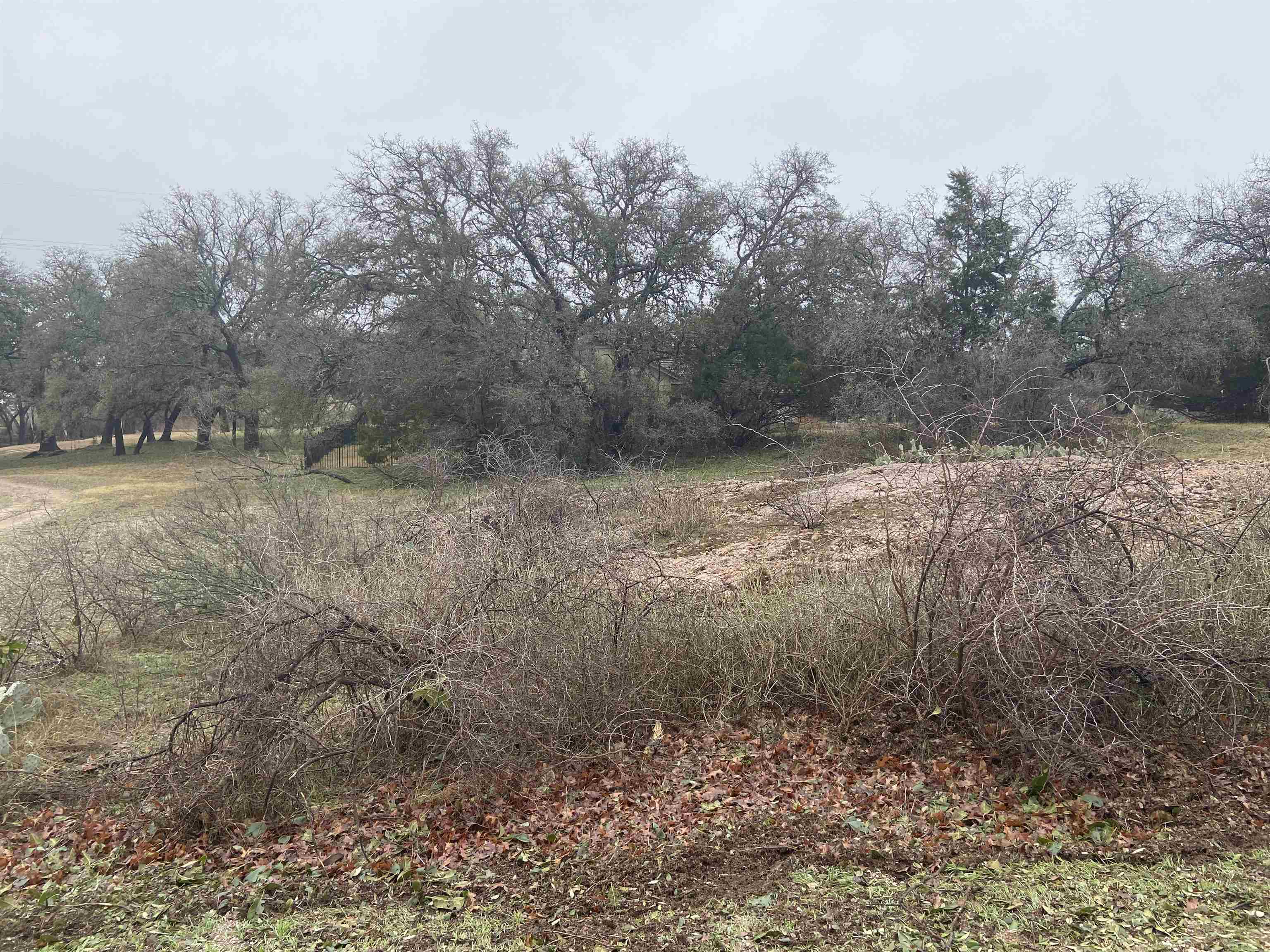 Lot 19061 Hi Stirrup