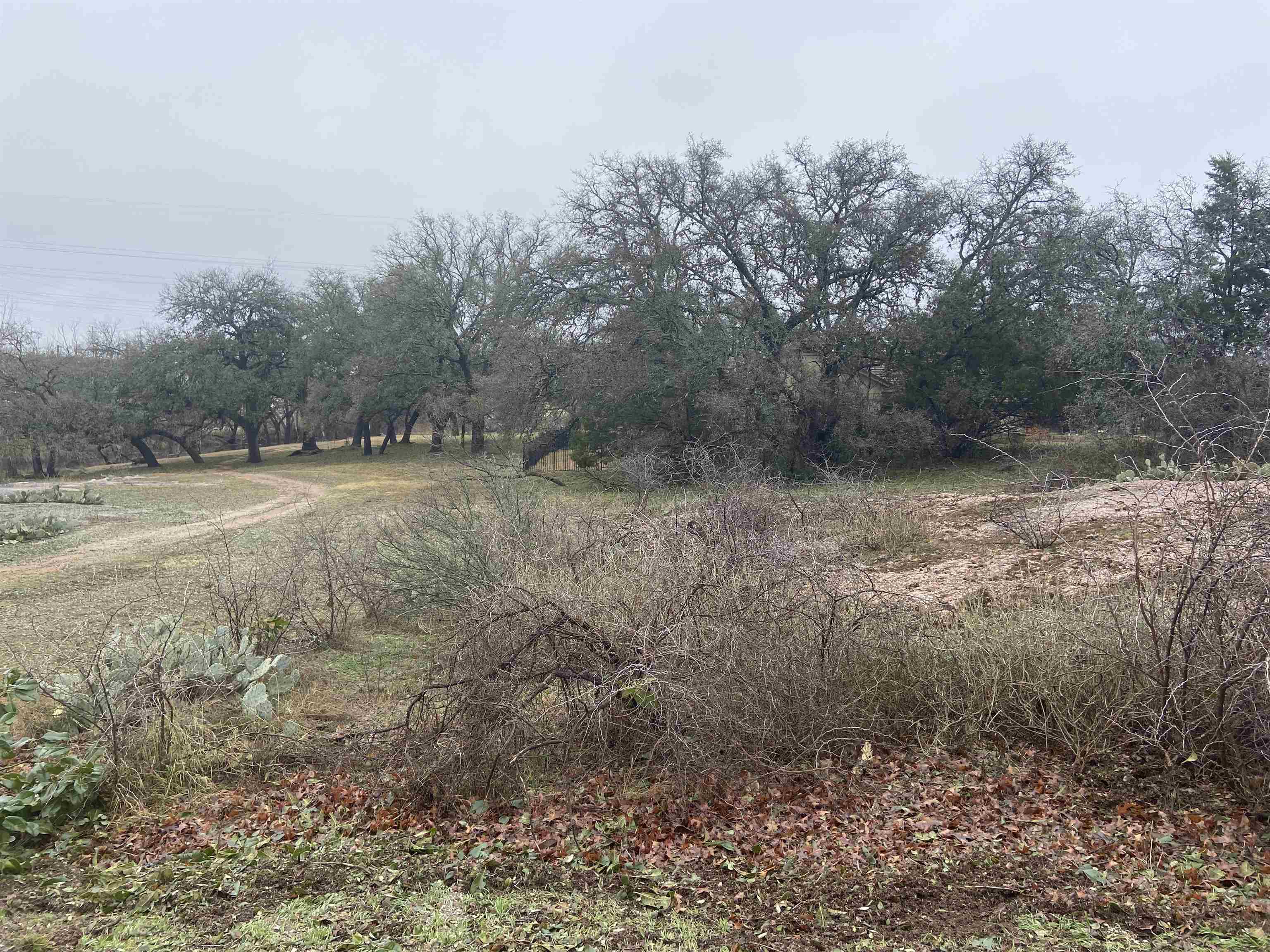 Lot 19061 Hi Stirrup