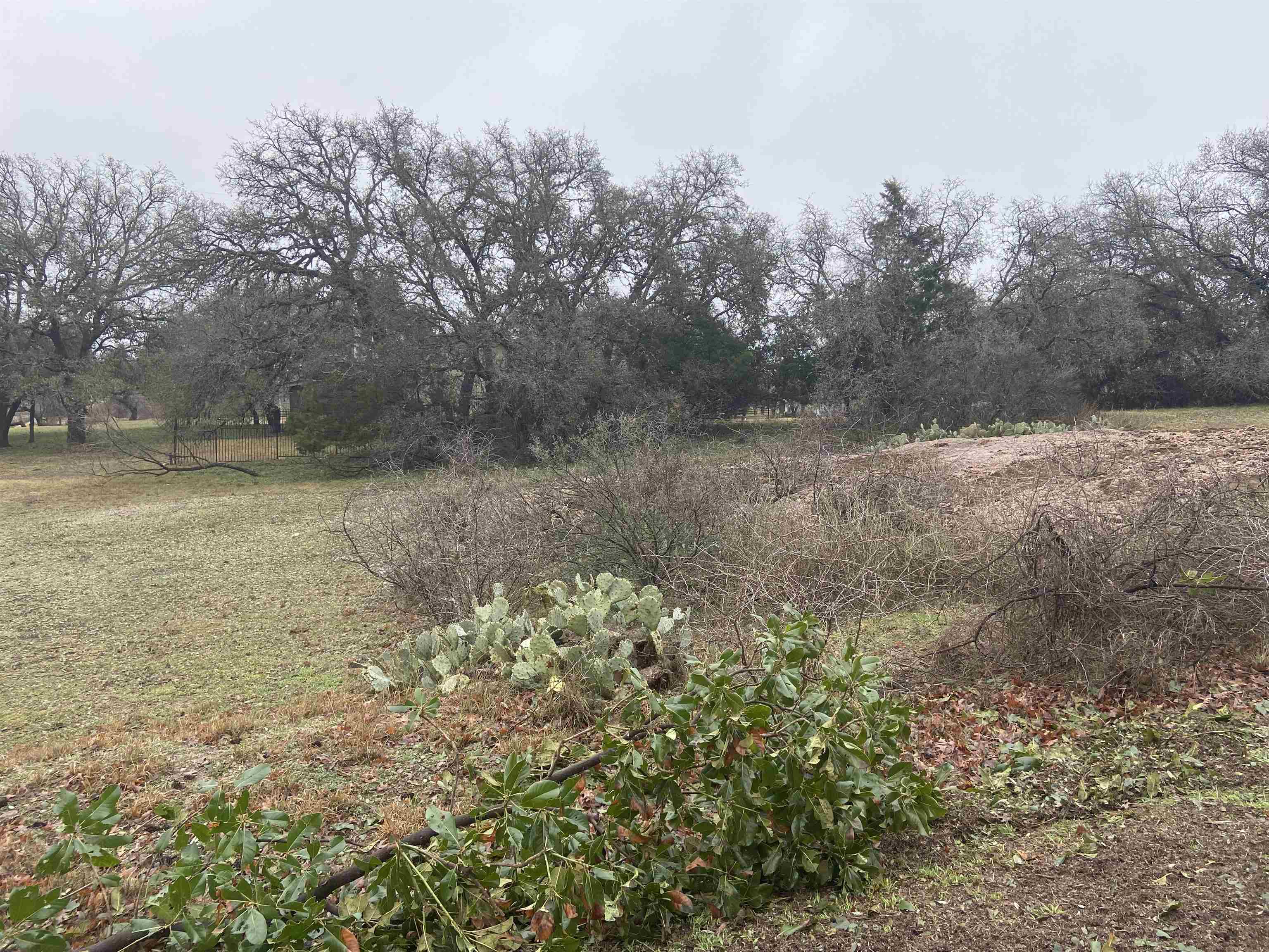 Lot 19061 Hi Stirrup