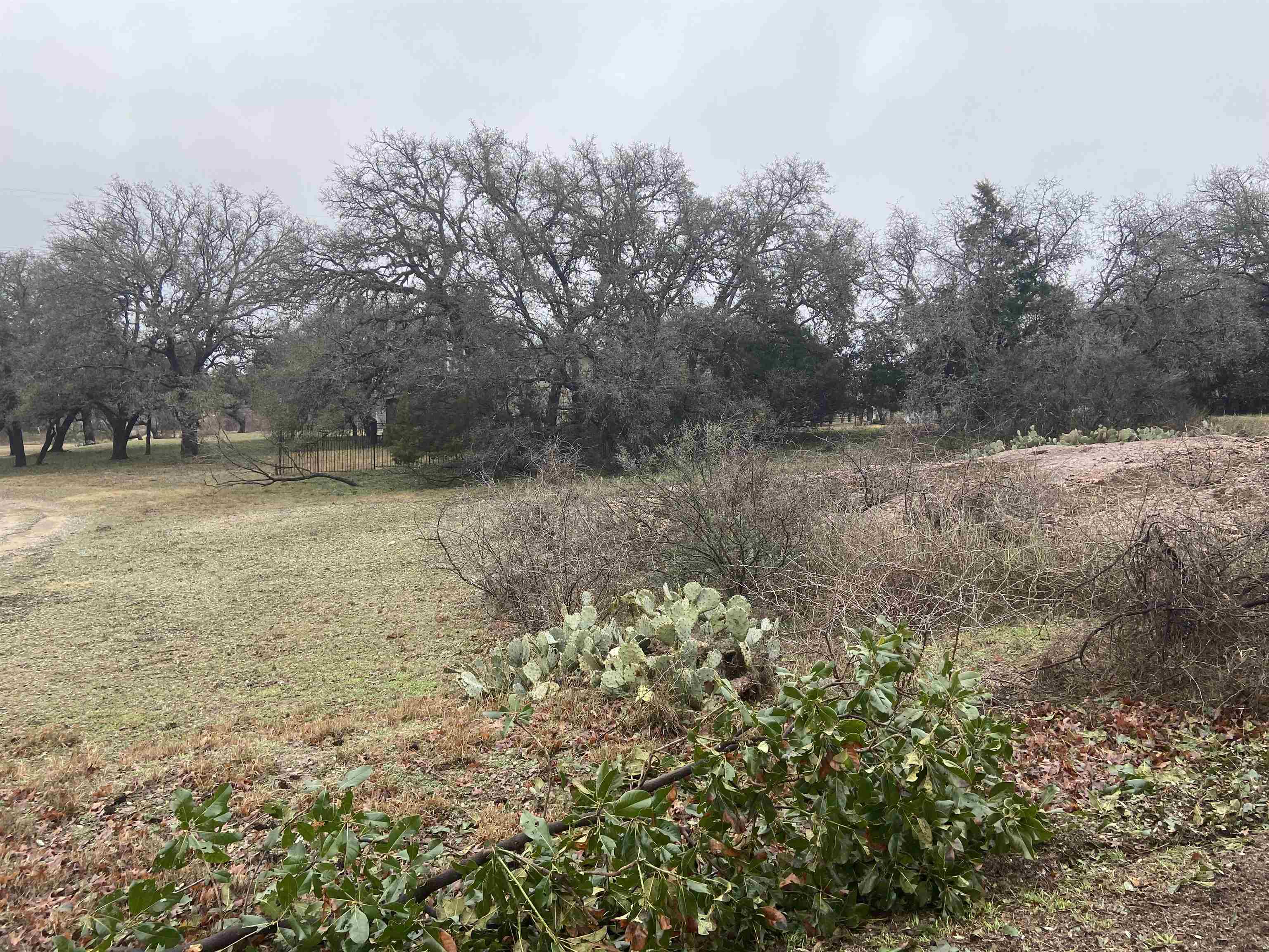 Lot 19061 Hi Stirrup