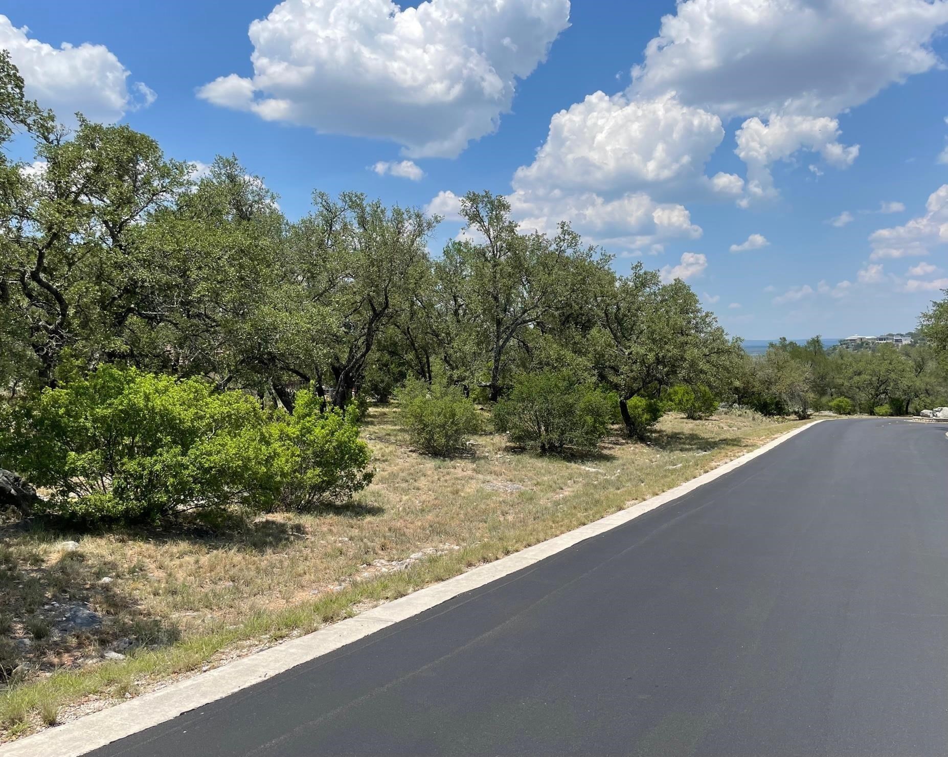 Lot 44003B Mountain Dew