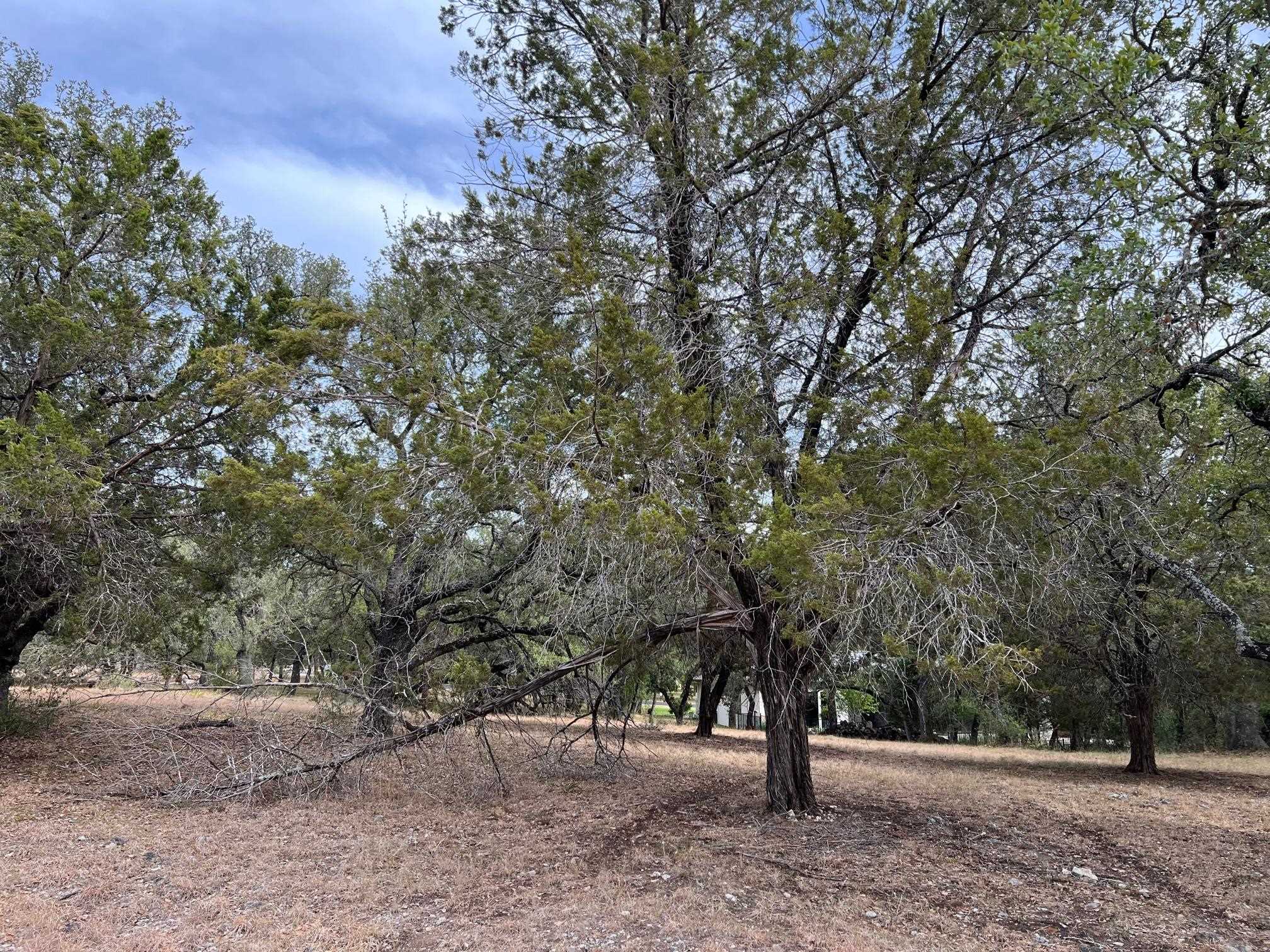 W35032 Cactus Corner Drive