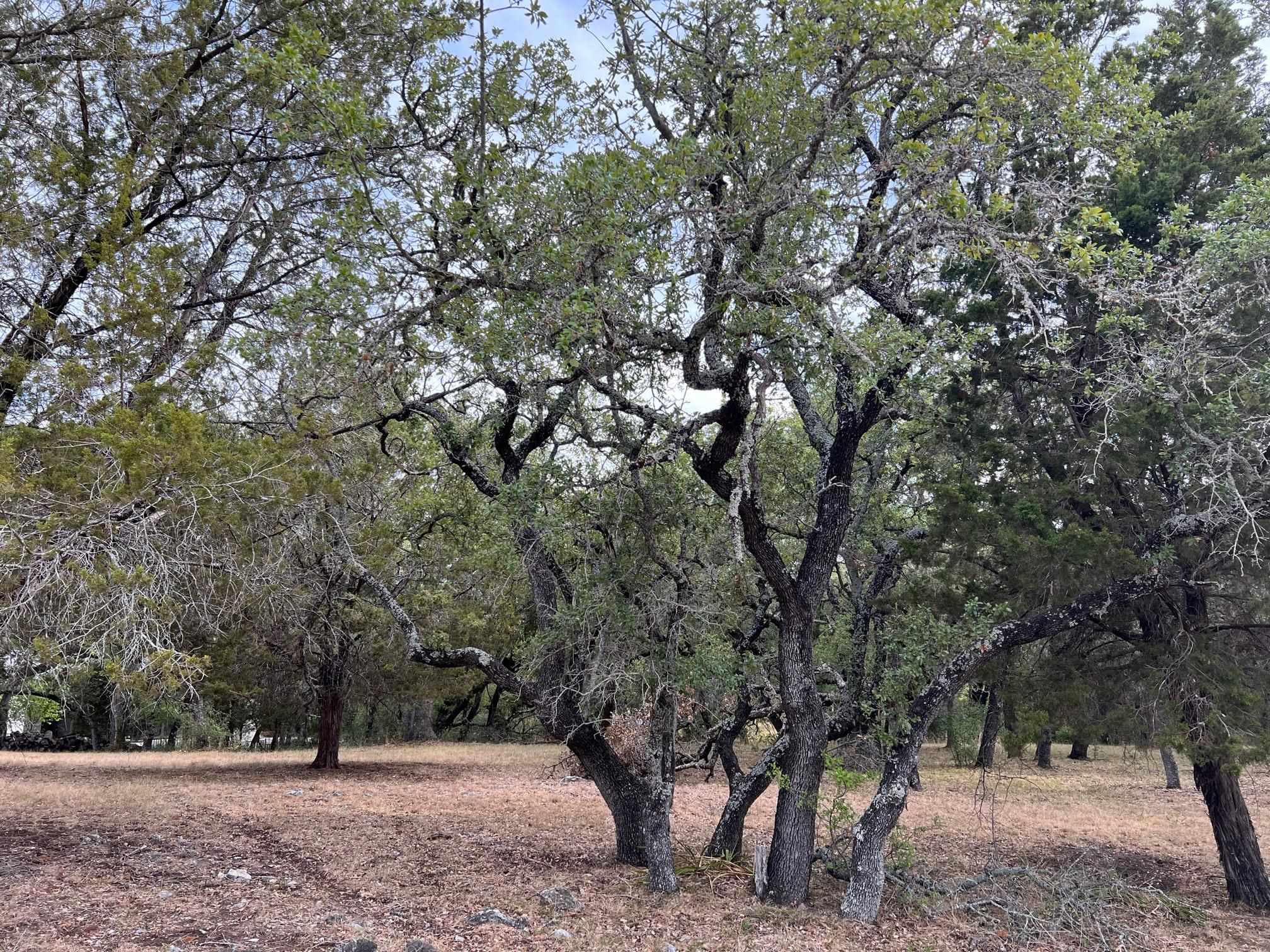 W35032 Cactus Corner Drive