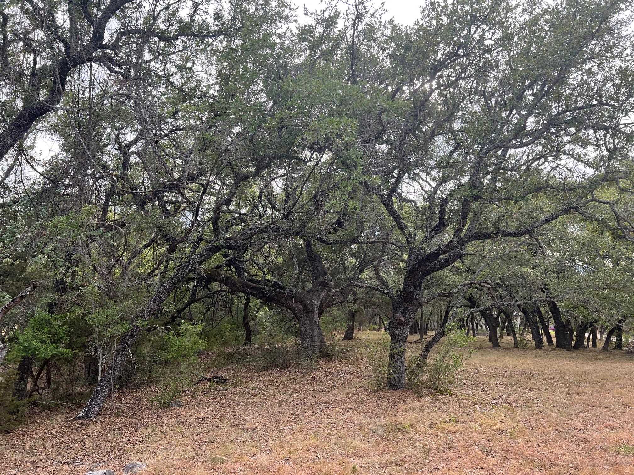 W35032 Cactus Corner Drive