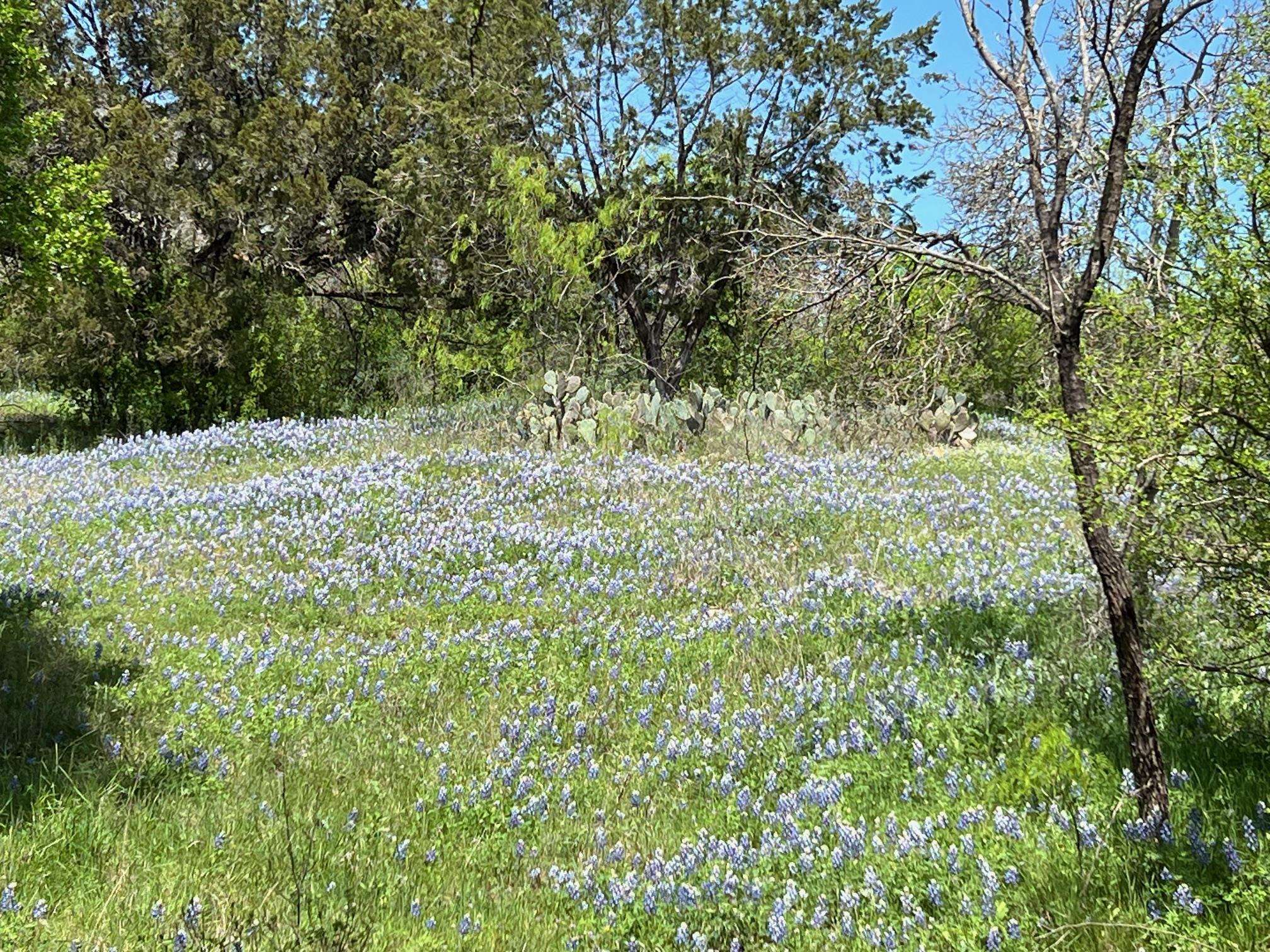 Lot W17011-B Hideaway