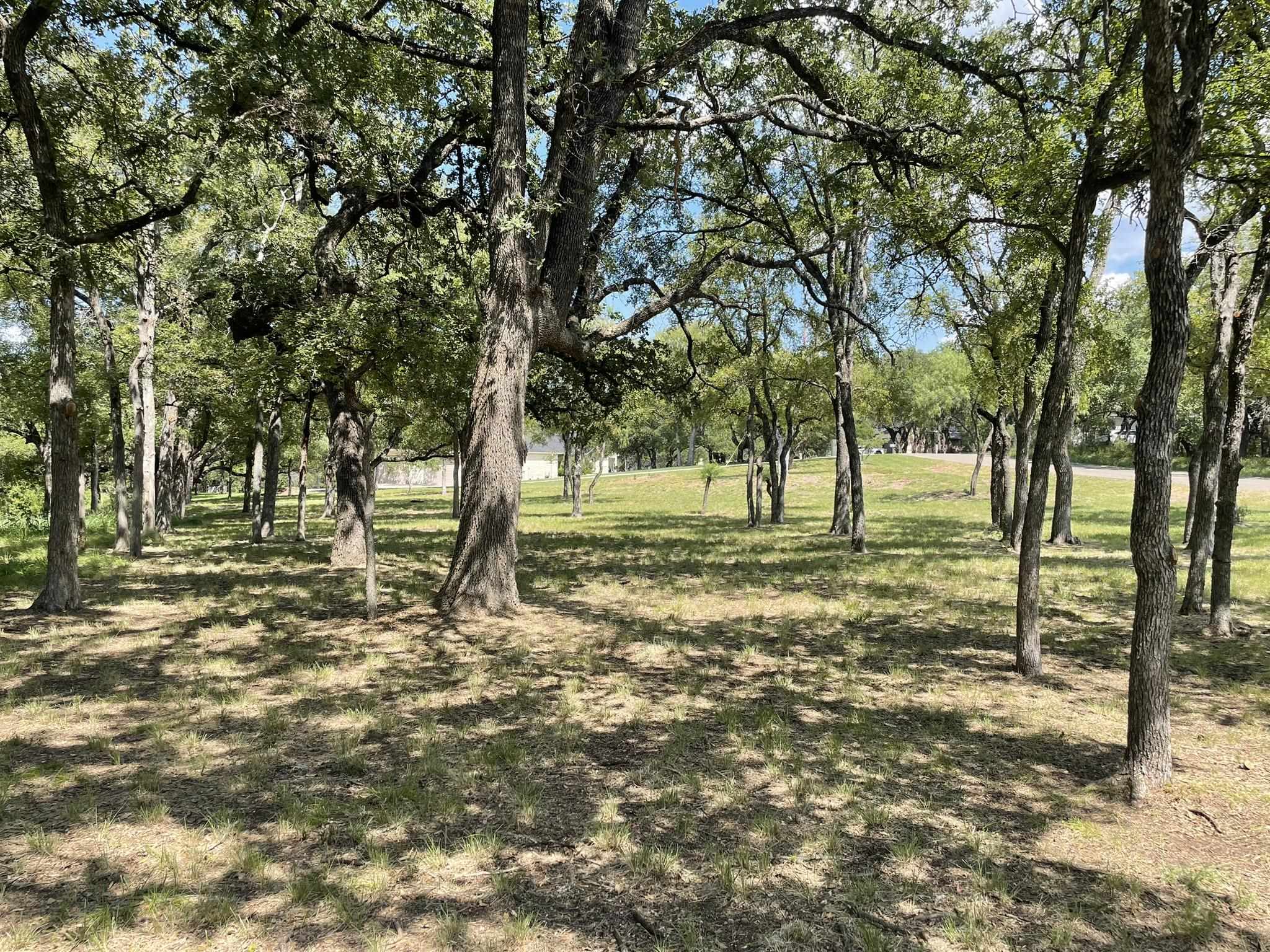 Lot 229 Mountain Drive