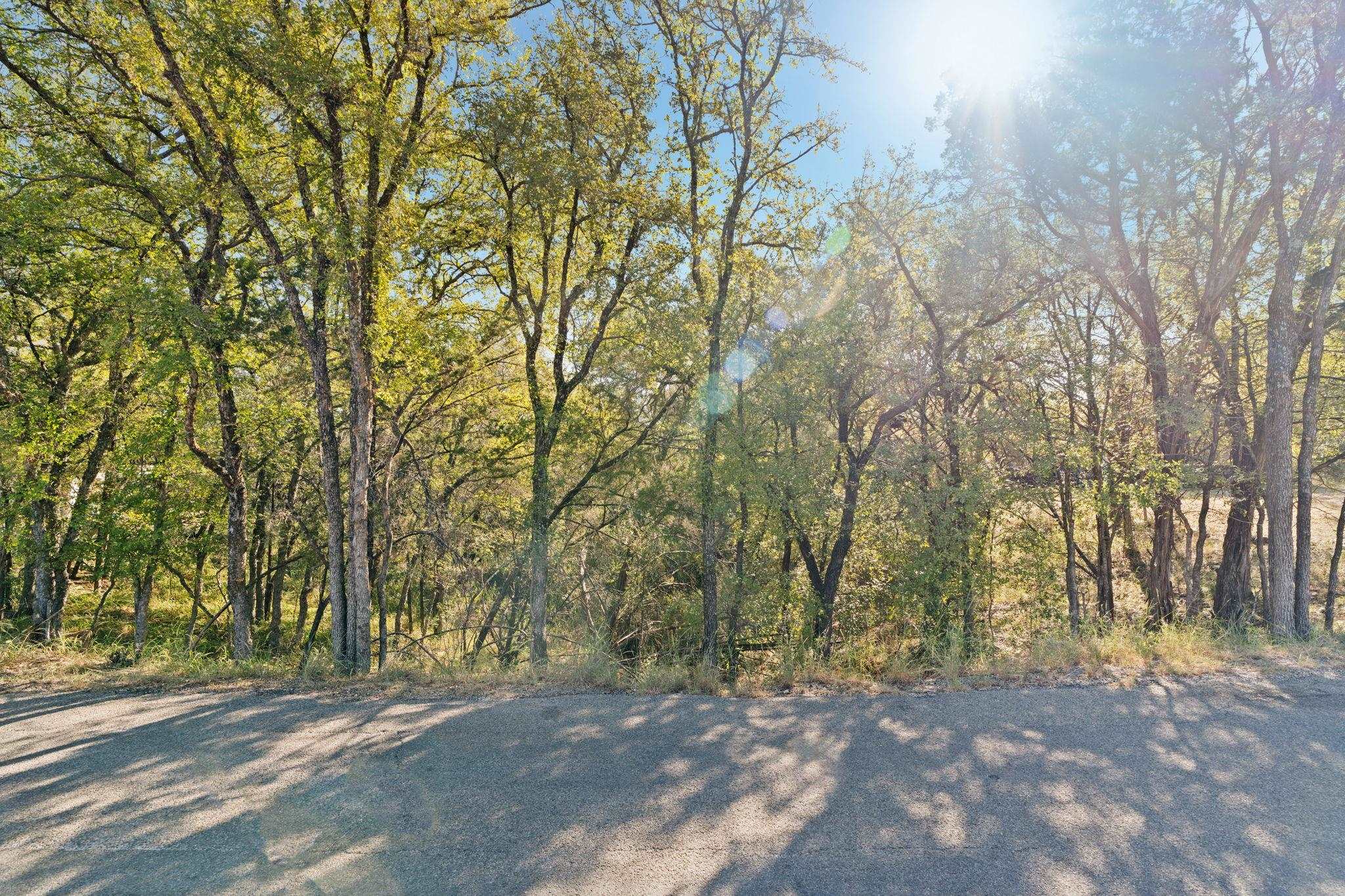 749 Driftwood Ln