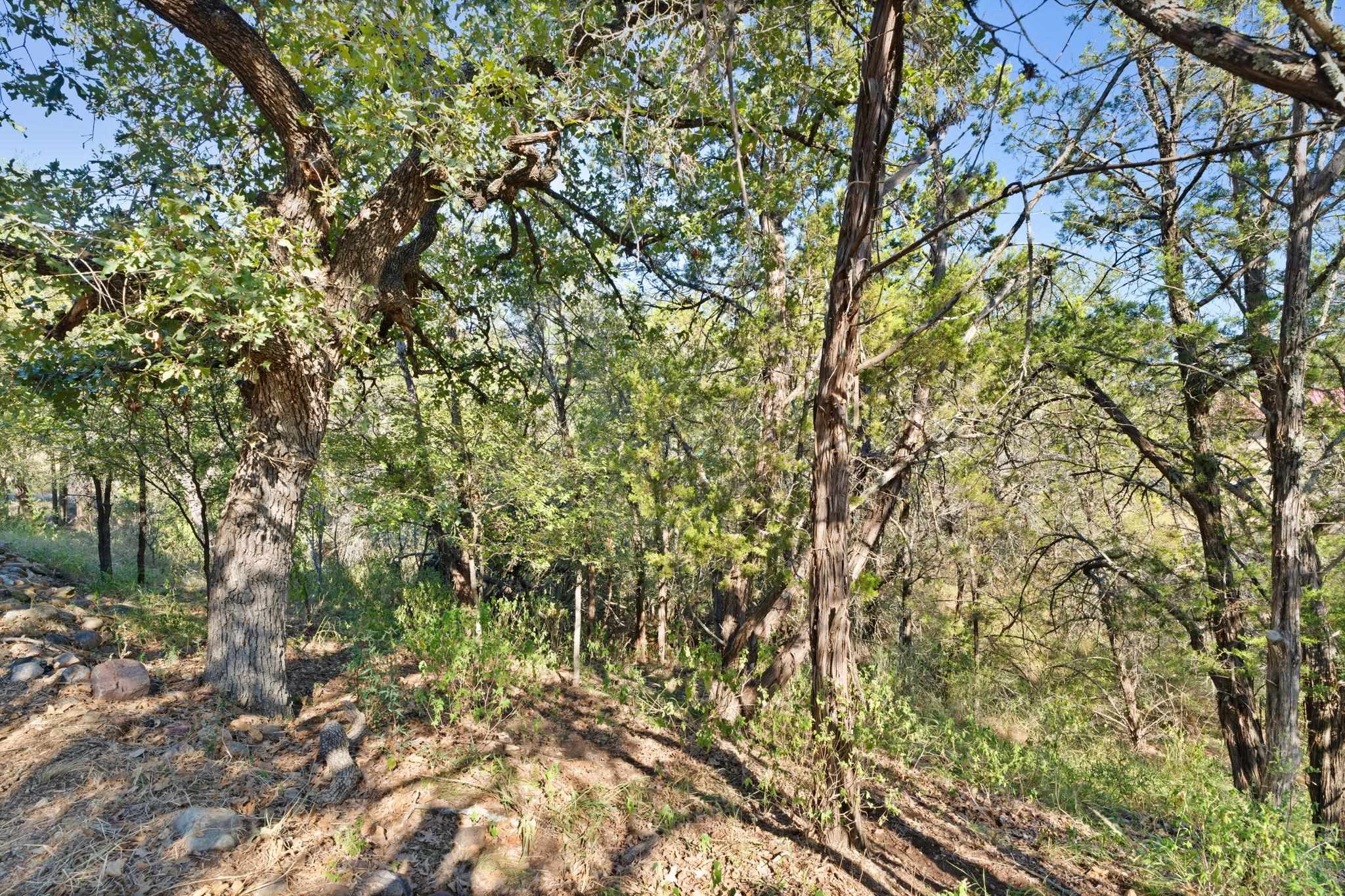 749 Driftwood Ln