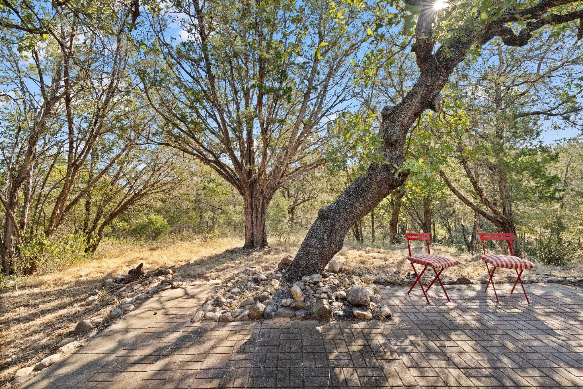 749 Driftwood Ln