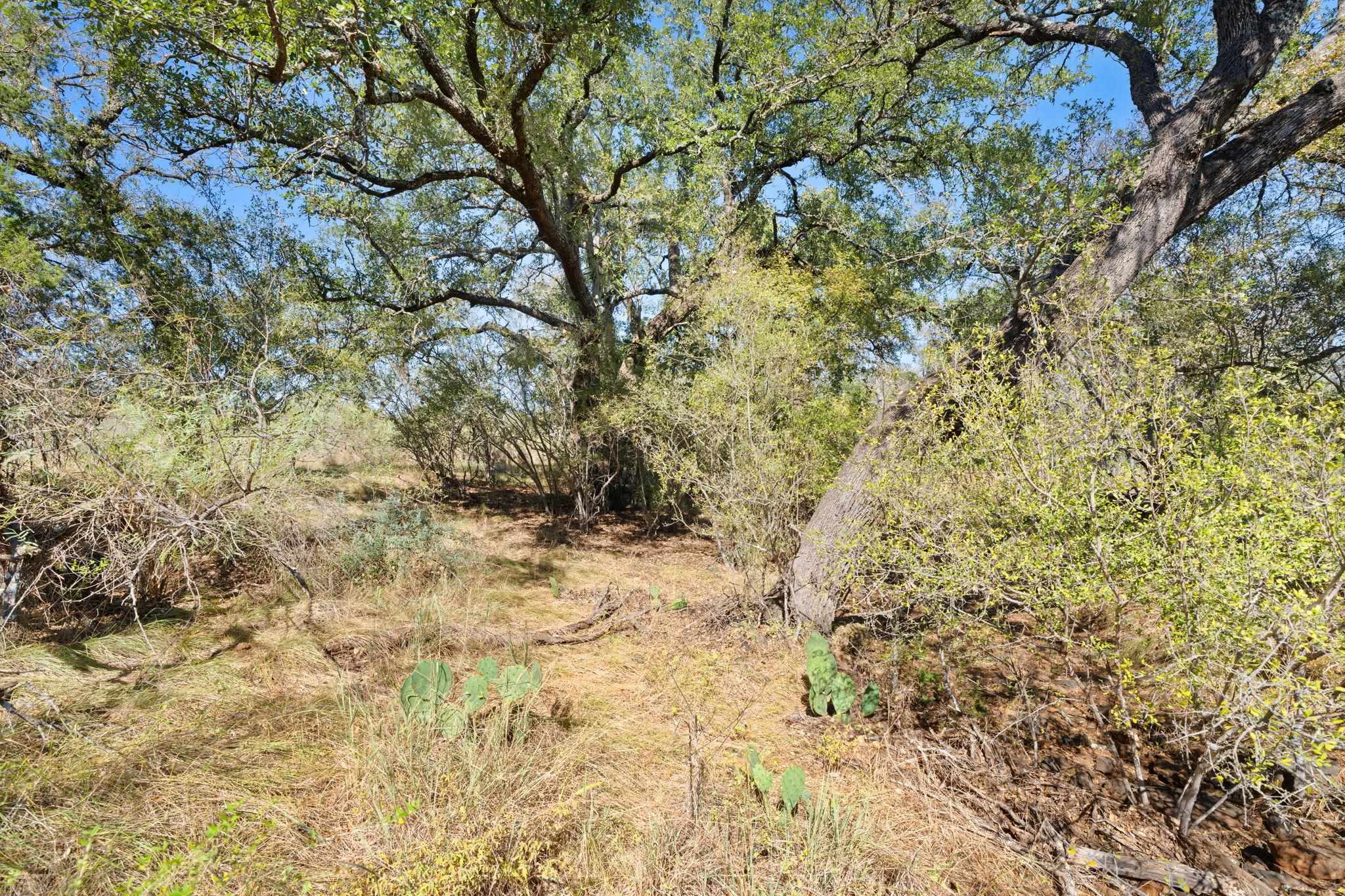 TBD - Lot 1 Sandy Mountain Dr