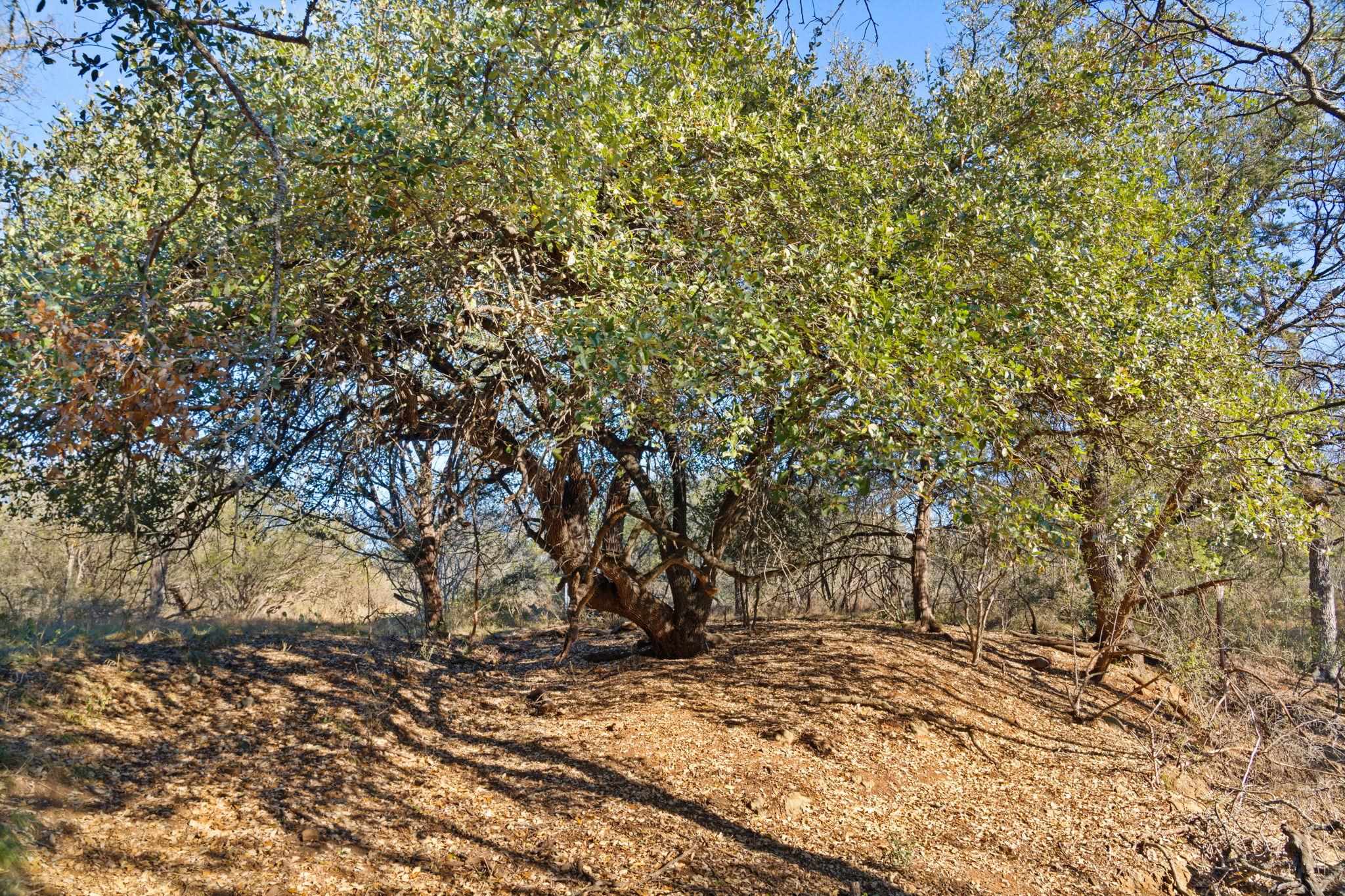 432 Sandy Mountain Dr