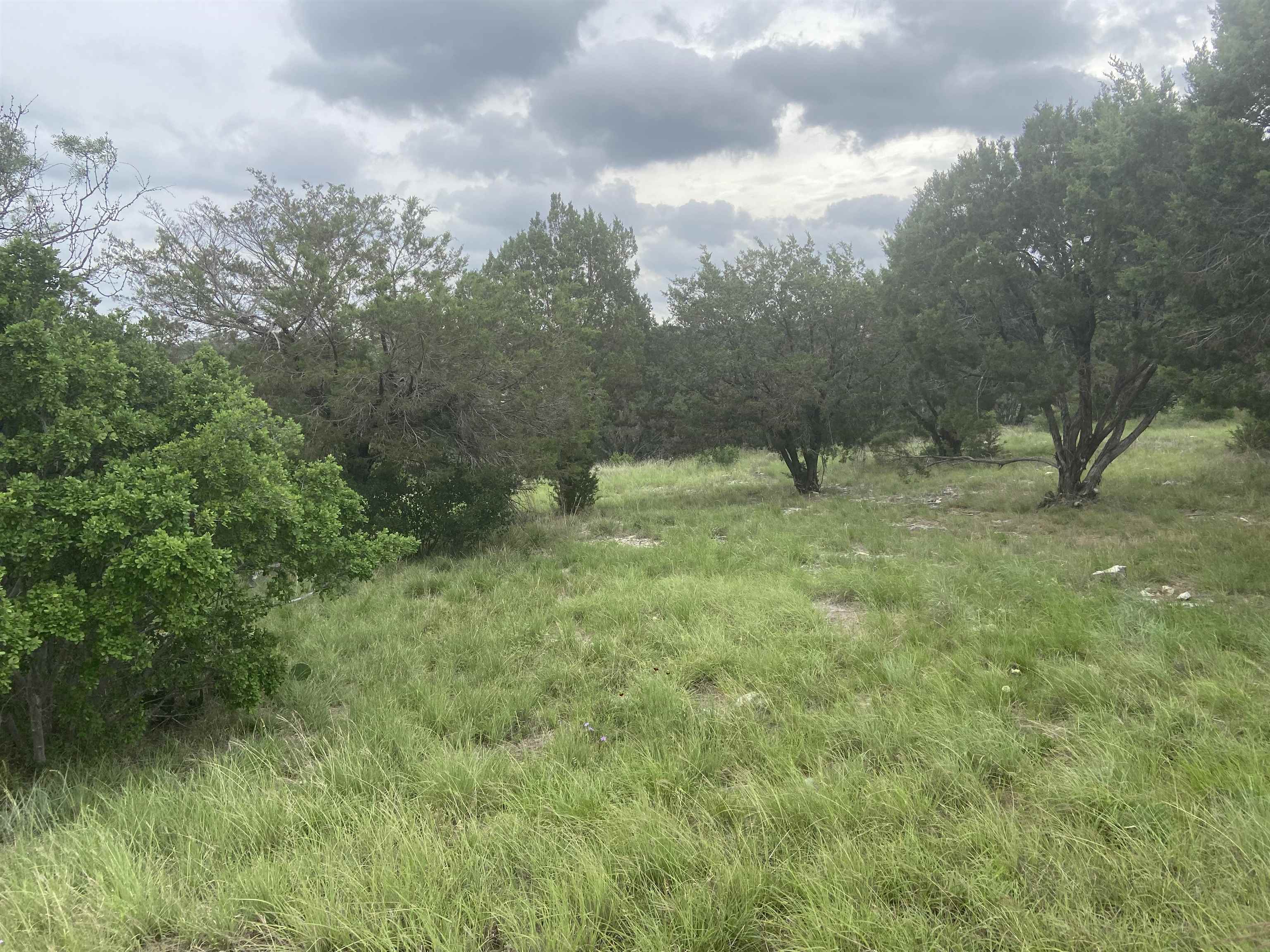 20153,20154,201 Quick Draw