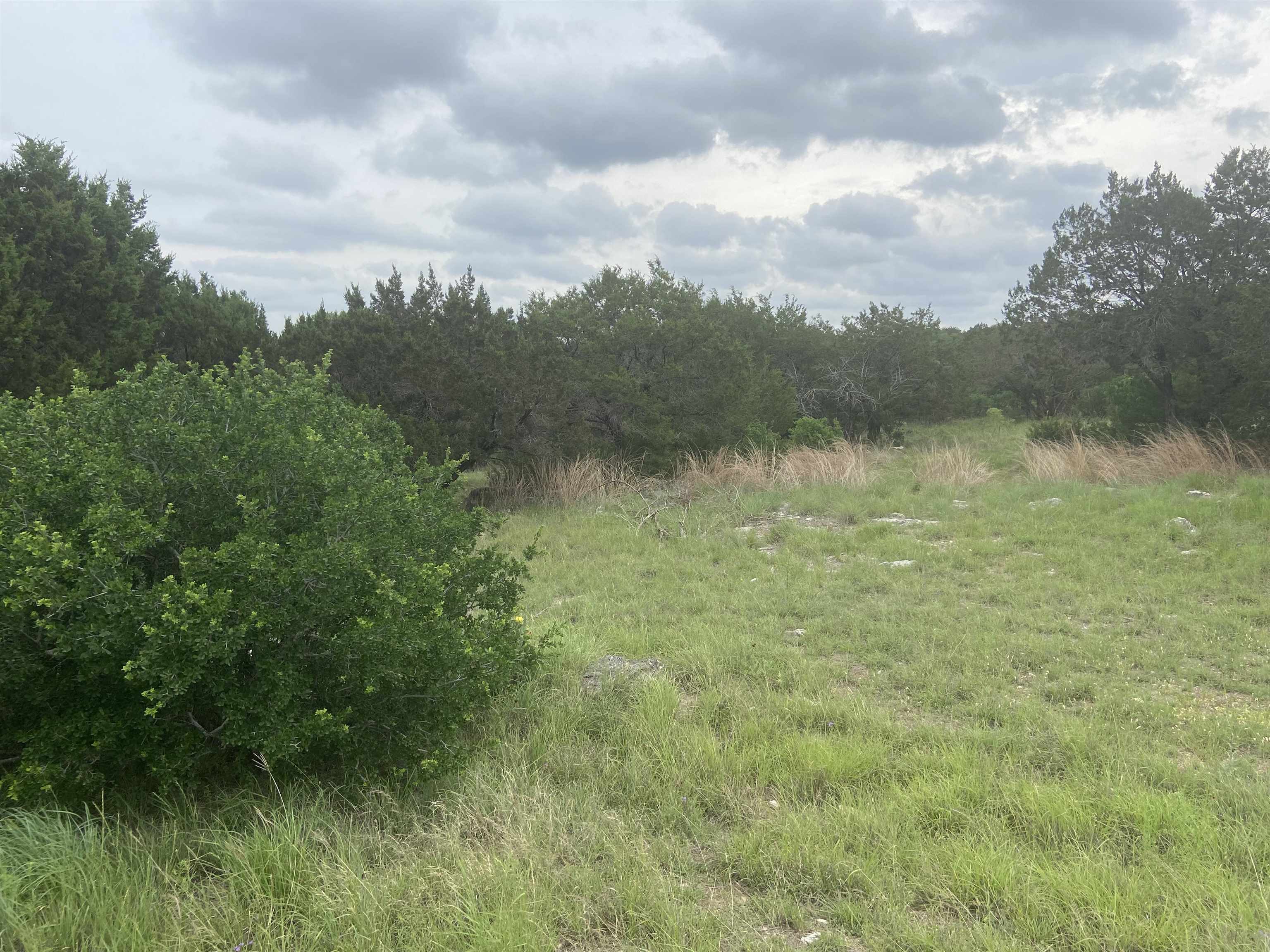 20153,20154,201 Quick Draw