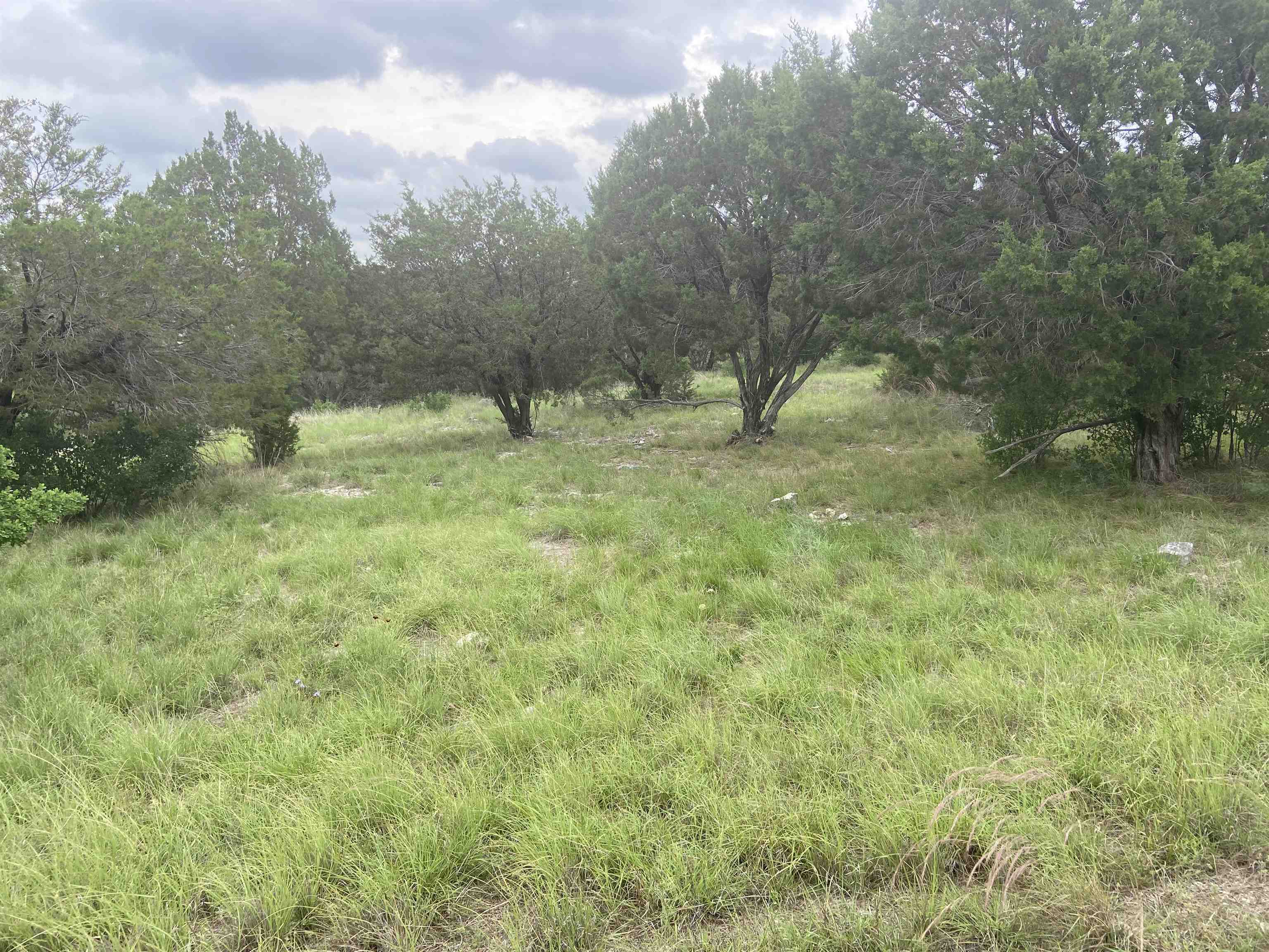 20153,20154,201 Quick Draw