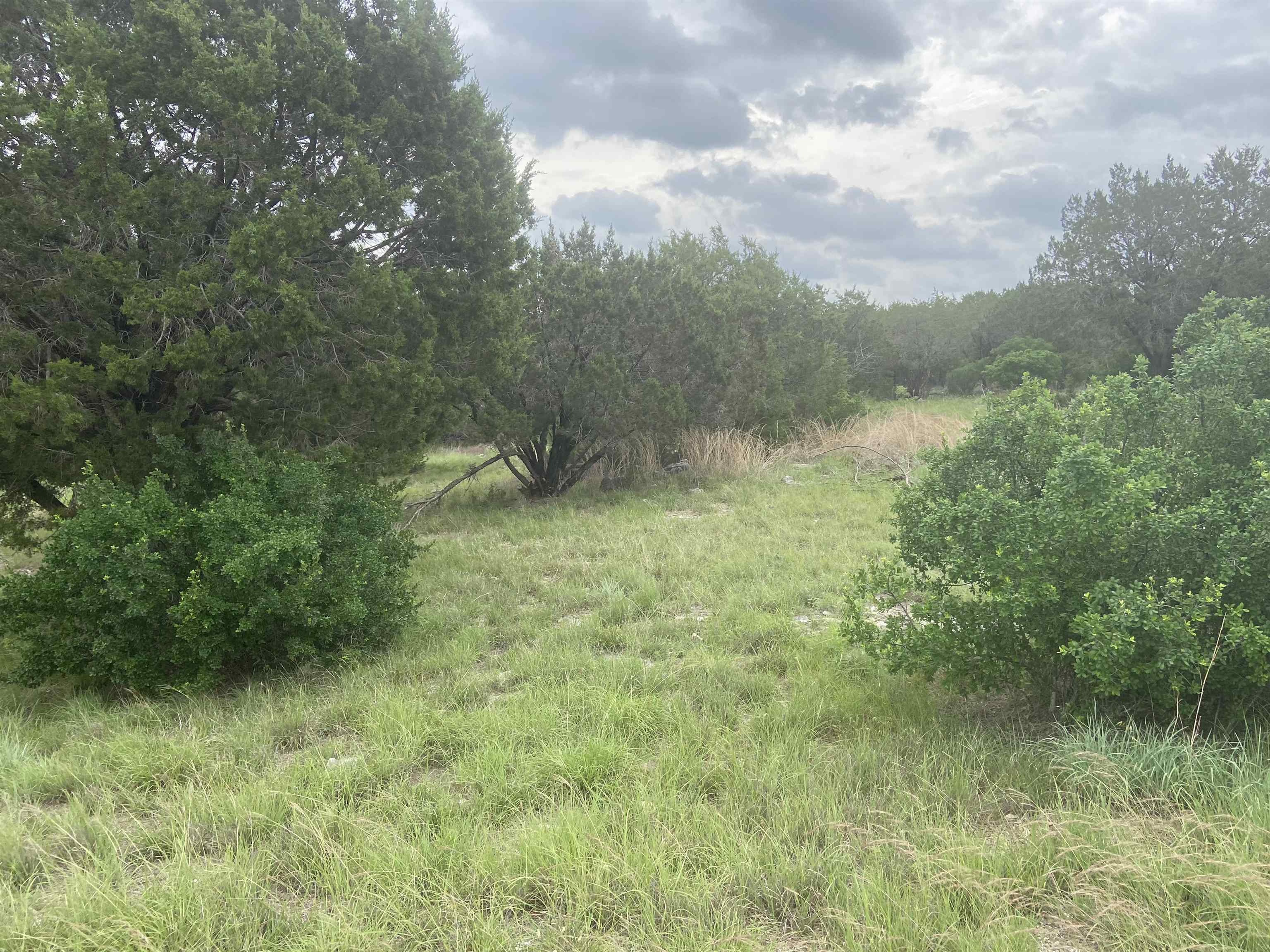 20153,20154,201 Quick Draw