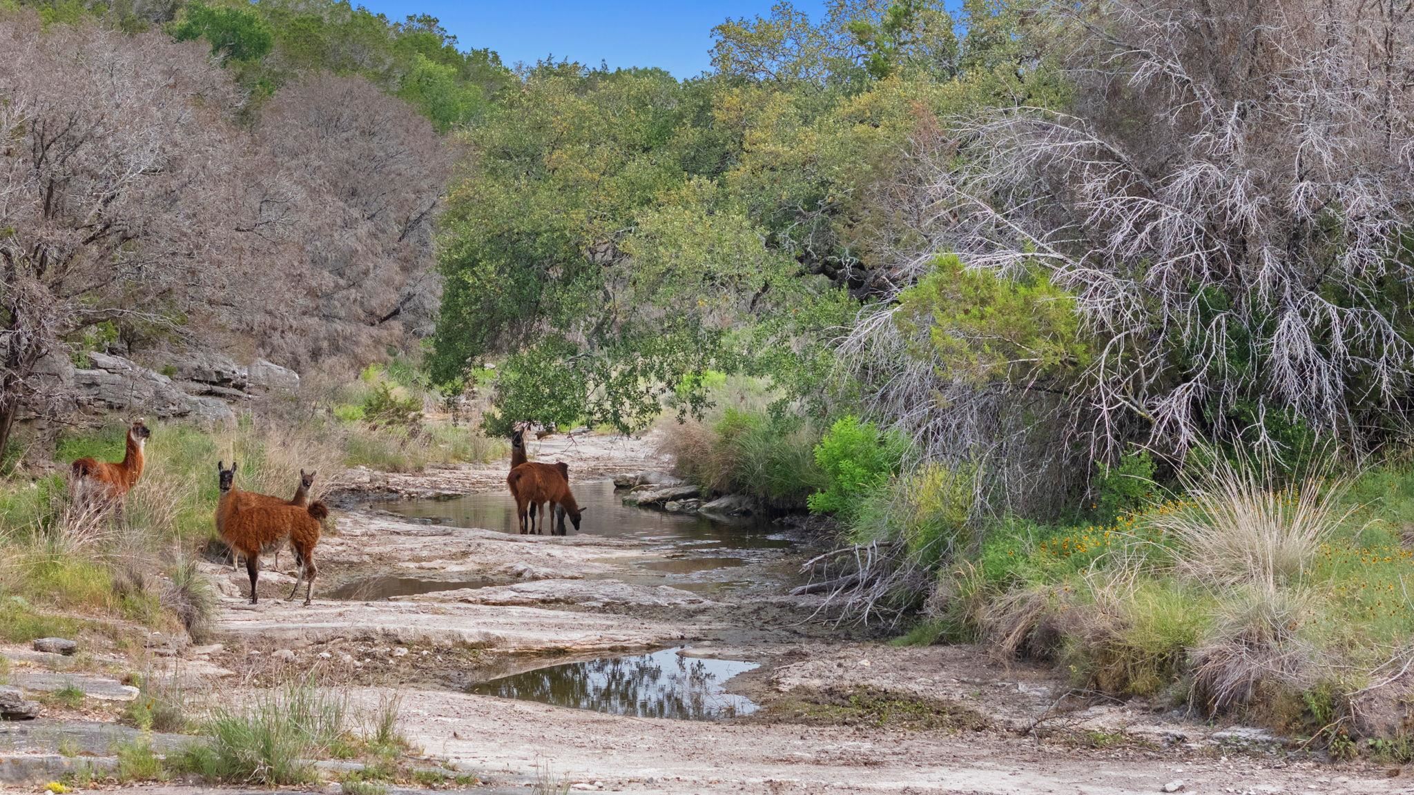 Bluff Creek Ranch