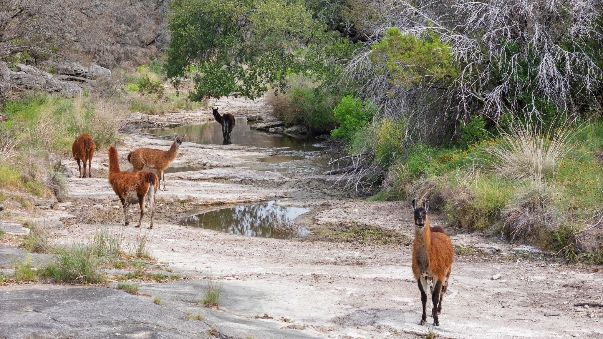 Bluff Creek Ranch