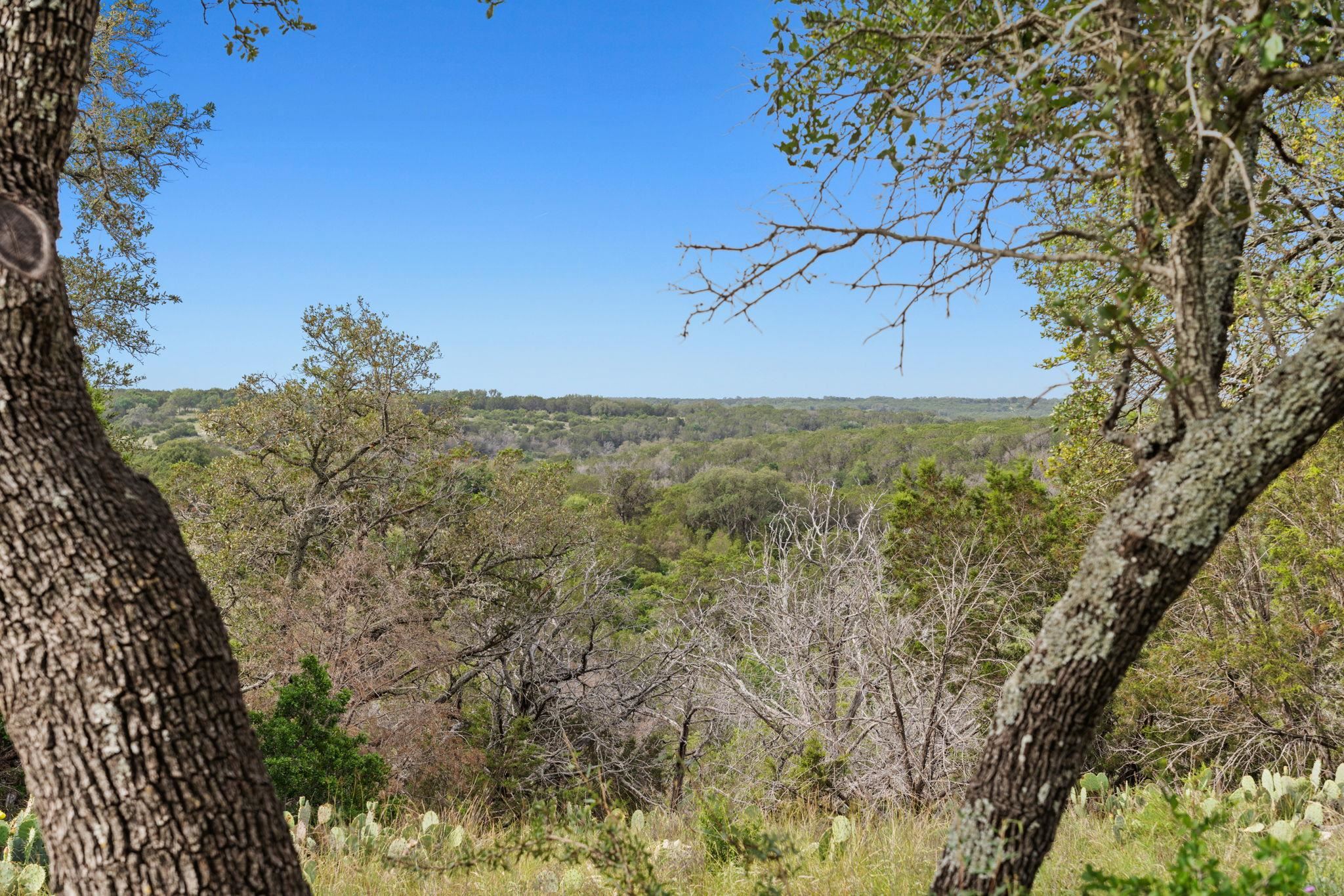 Bluff Creek Ranch