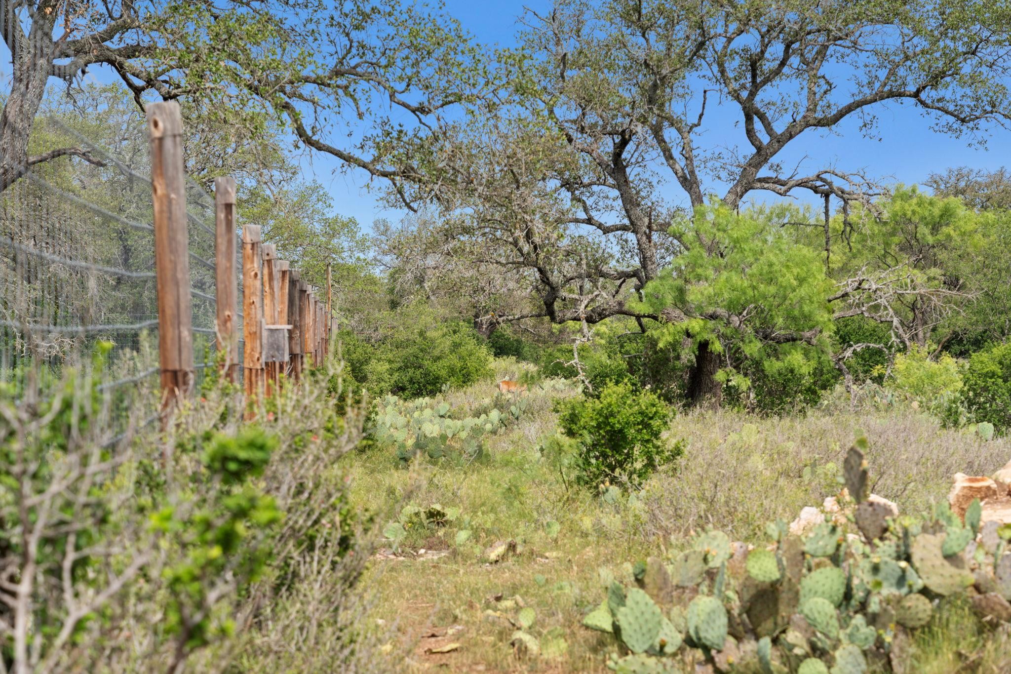 Bluff Creek Ranch