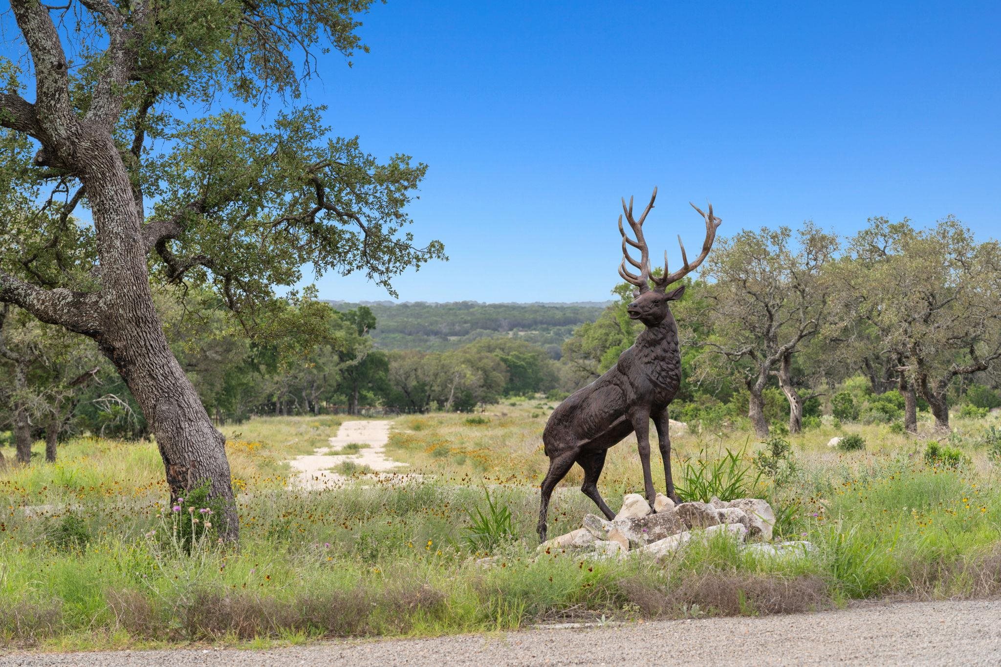 Bluff Creek Ranch