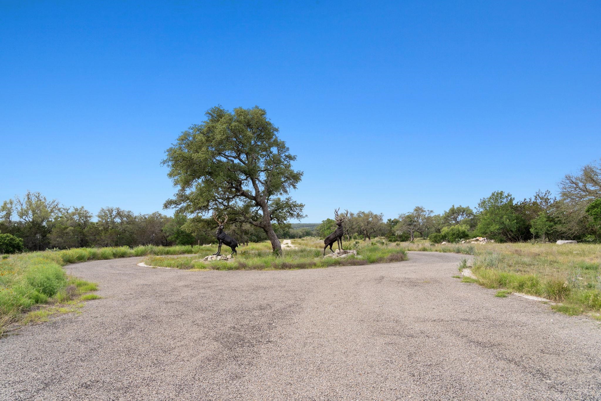 Bluff Creek Ranch