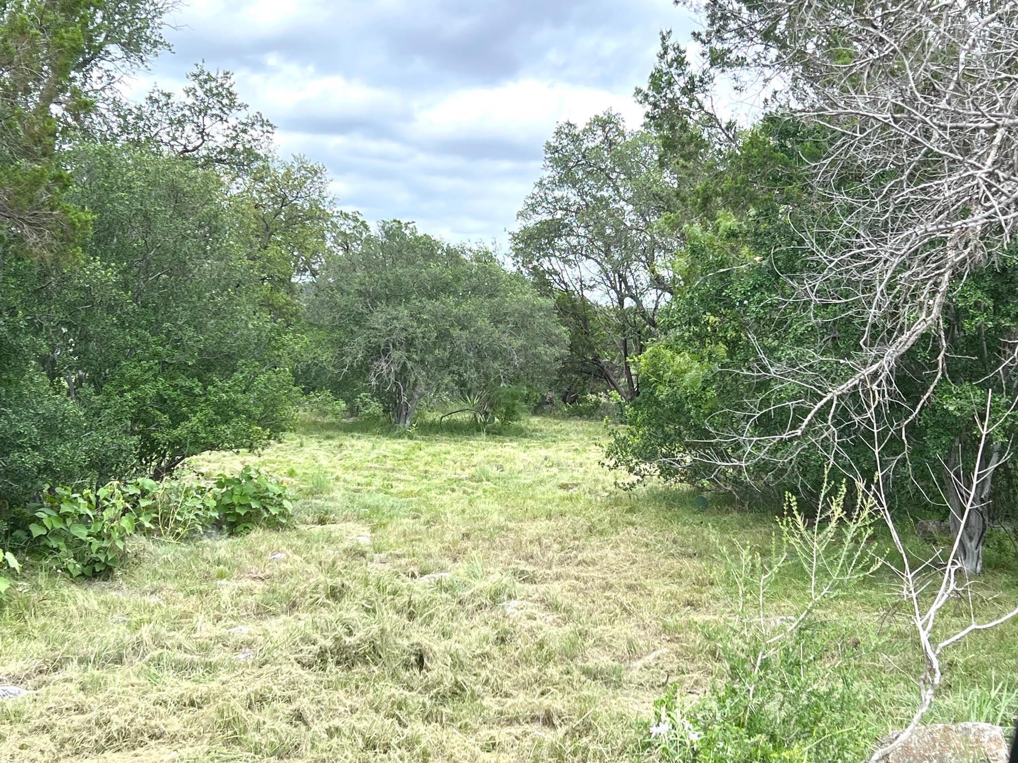 Lot 27001 Western Bit/Hi Mesa Drive