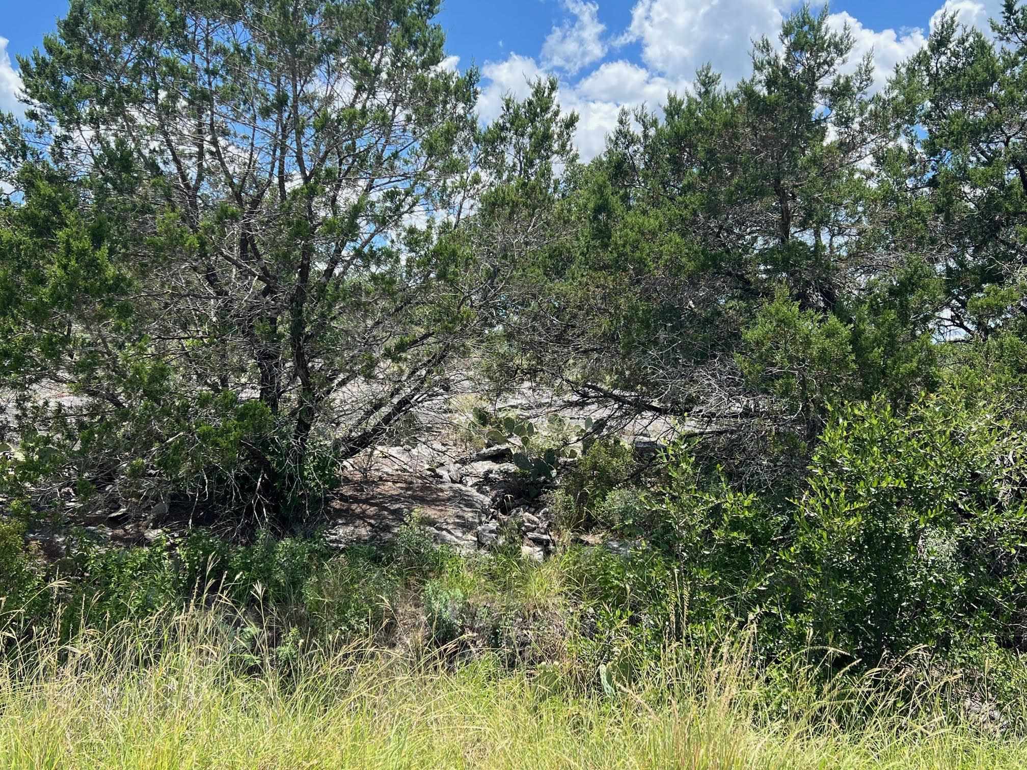 Lot K10187 Buzzards Roost