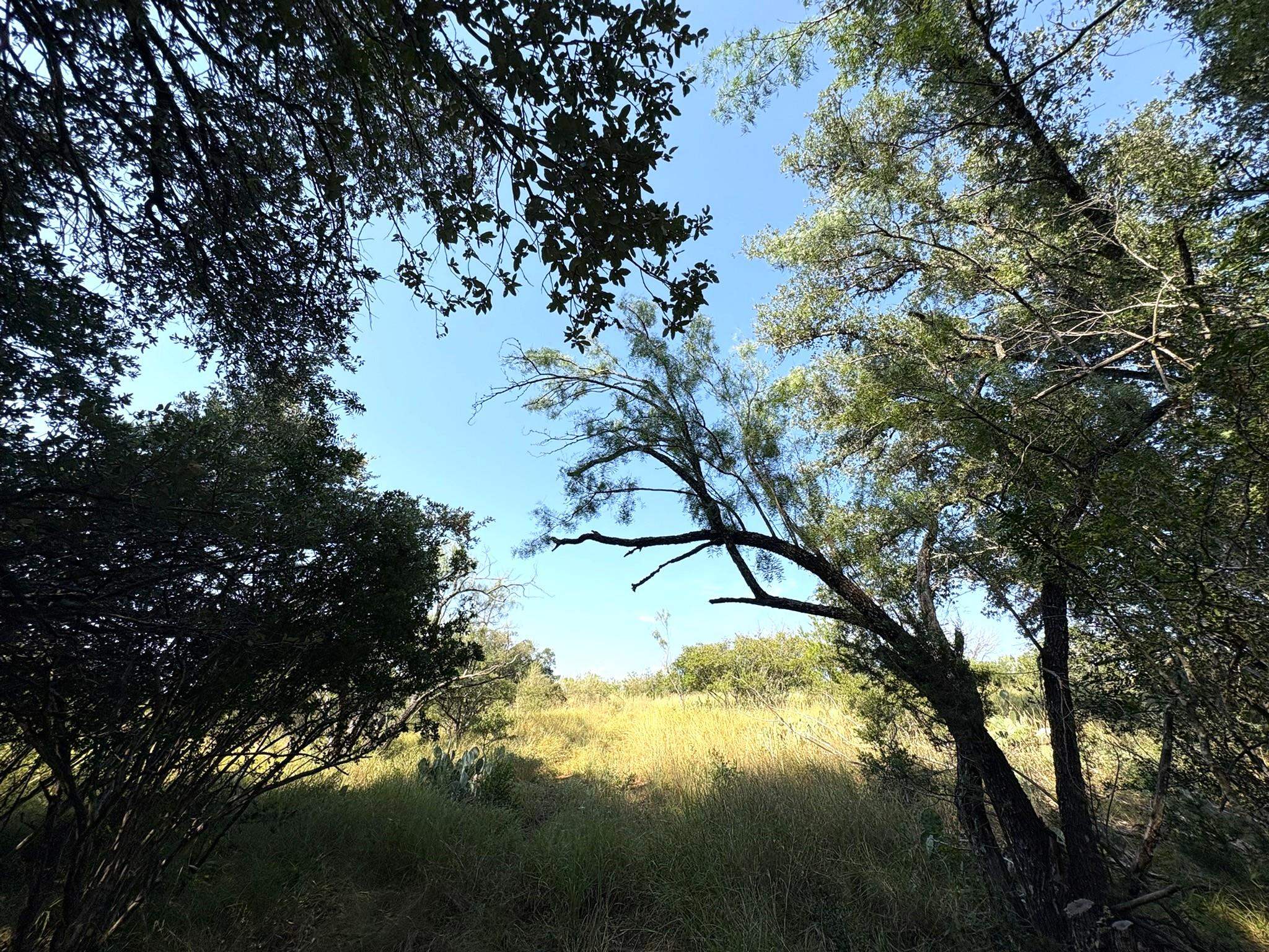 TBD - Lot 3 Sandy Mountain Dr