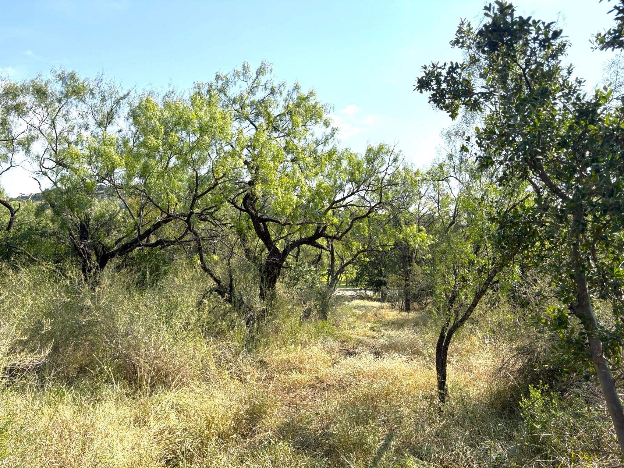 TBD - Lot 3 Sandy Mountain Dr