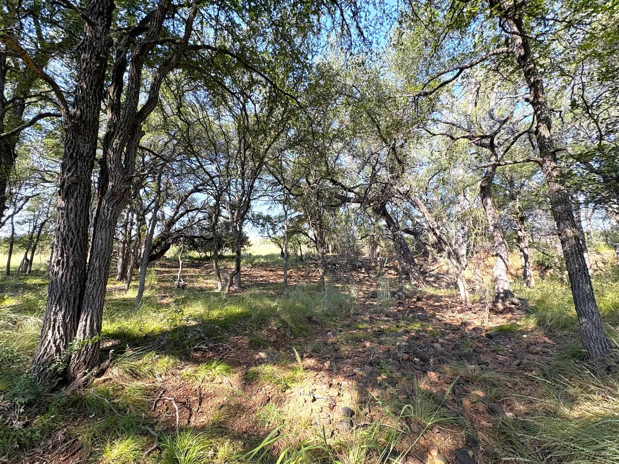 TBD - Lot 3 Sandy Mountain Dr